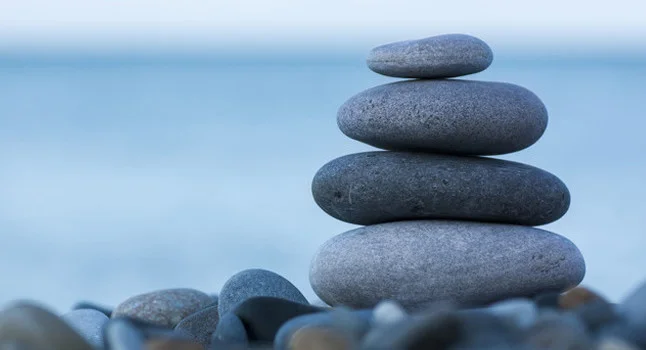 holistic-646x350.jpg
