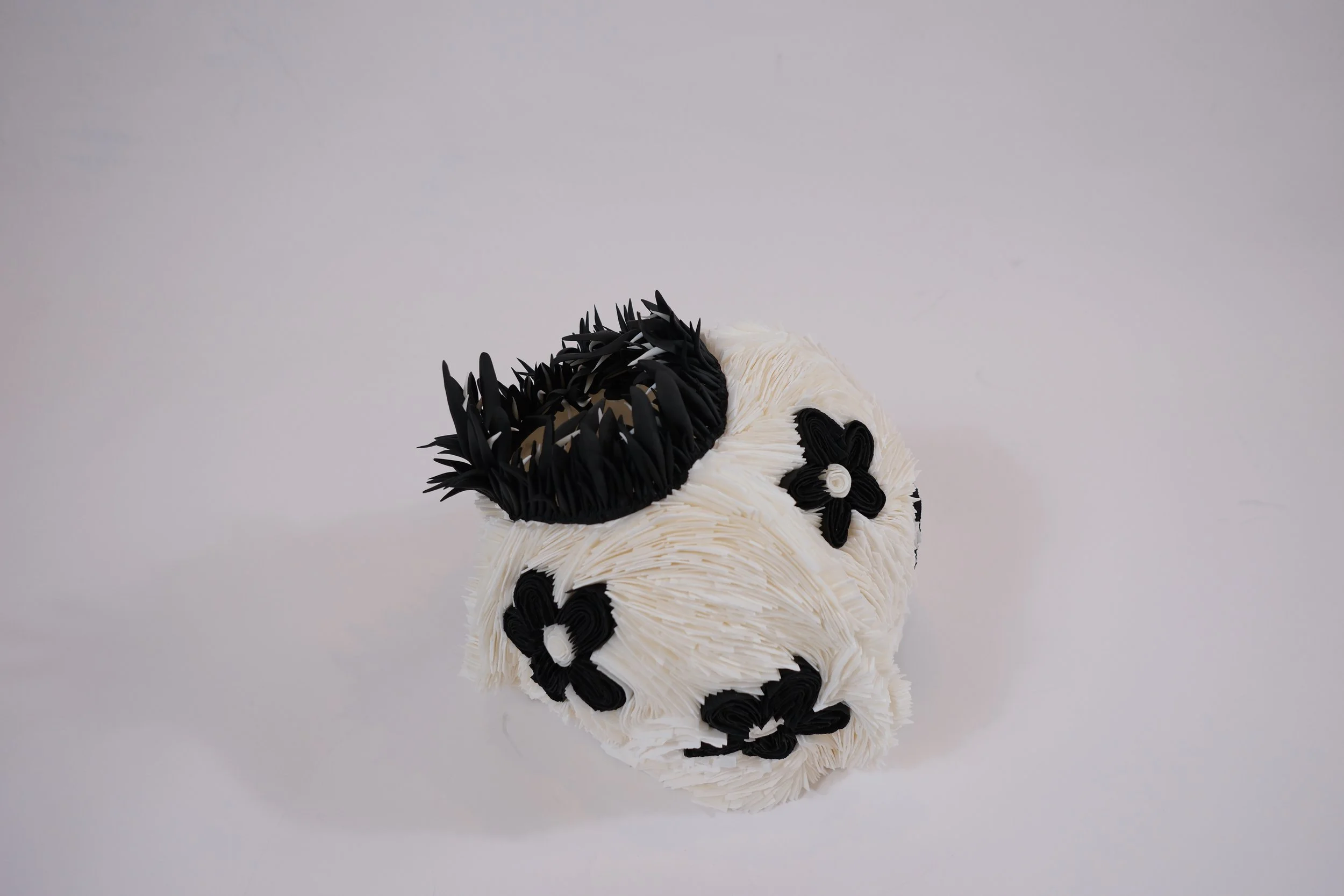 DSCF1150.JPG