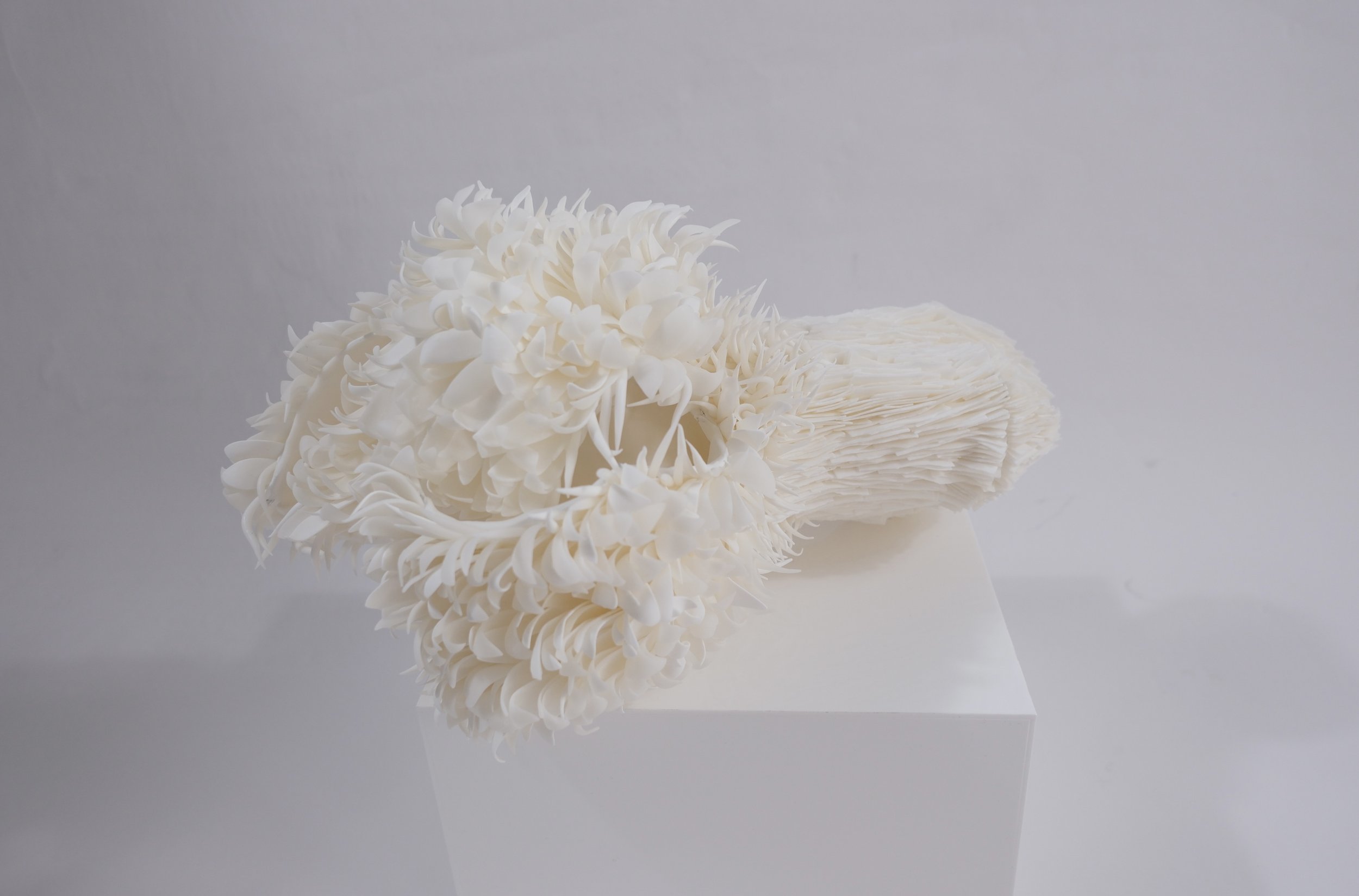 Mind controler wei.jpg