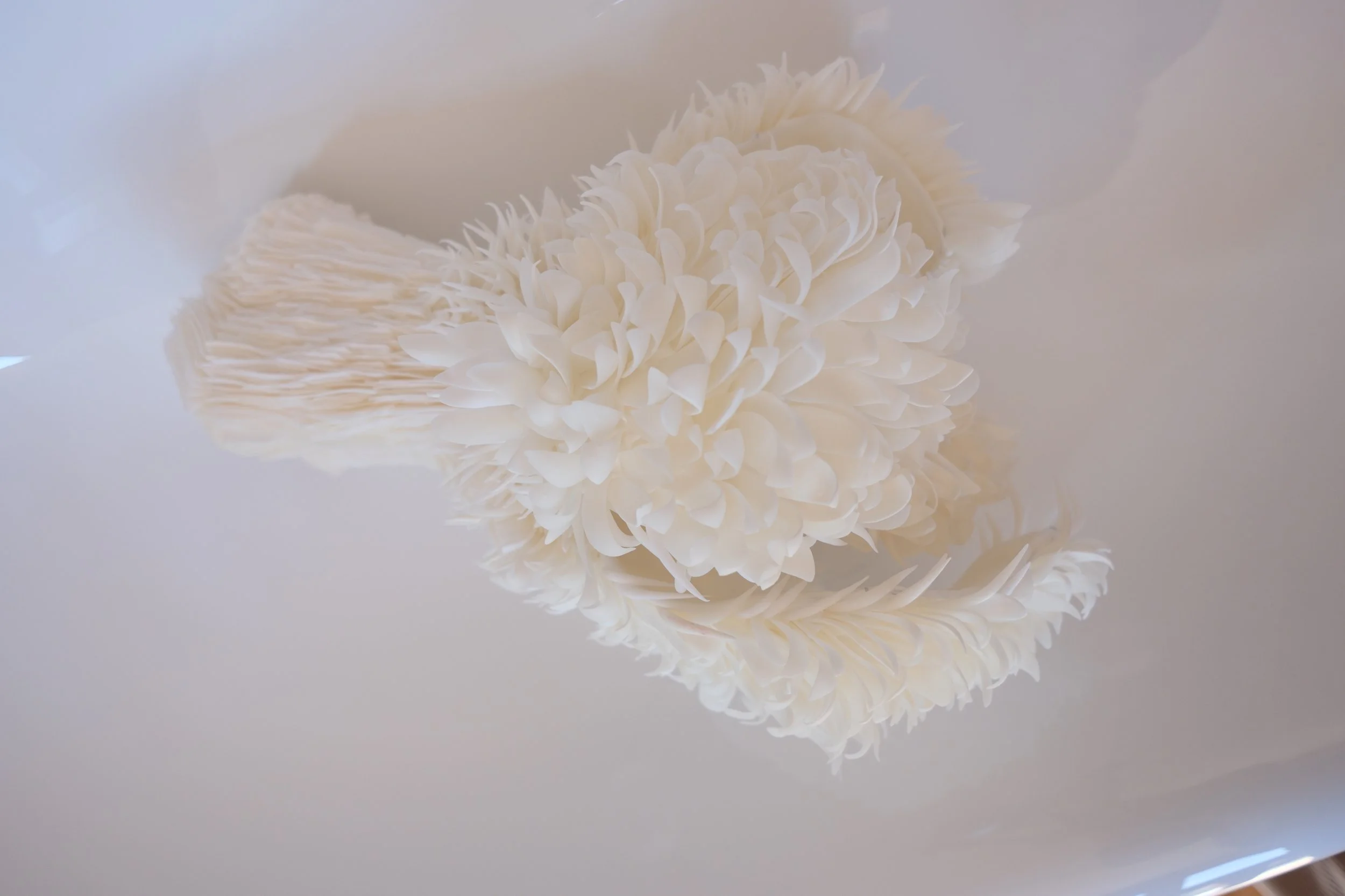 Mind Controller2.JPG