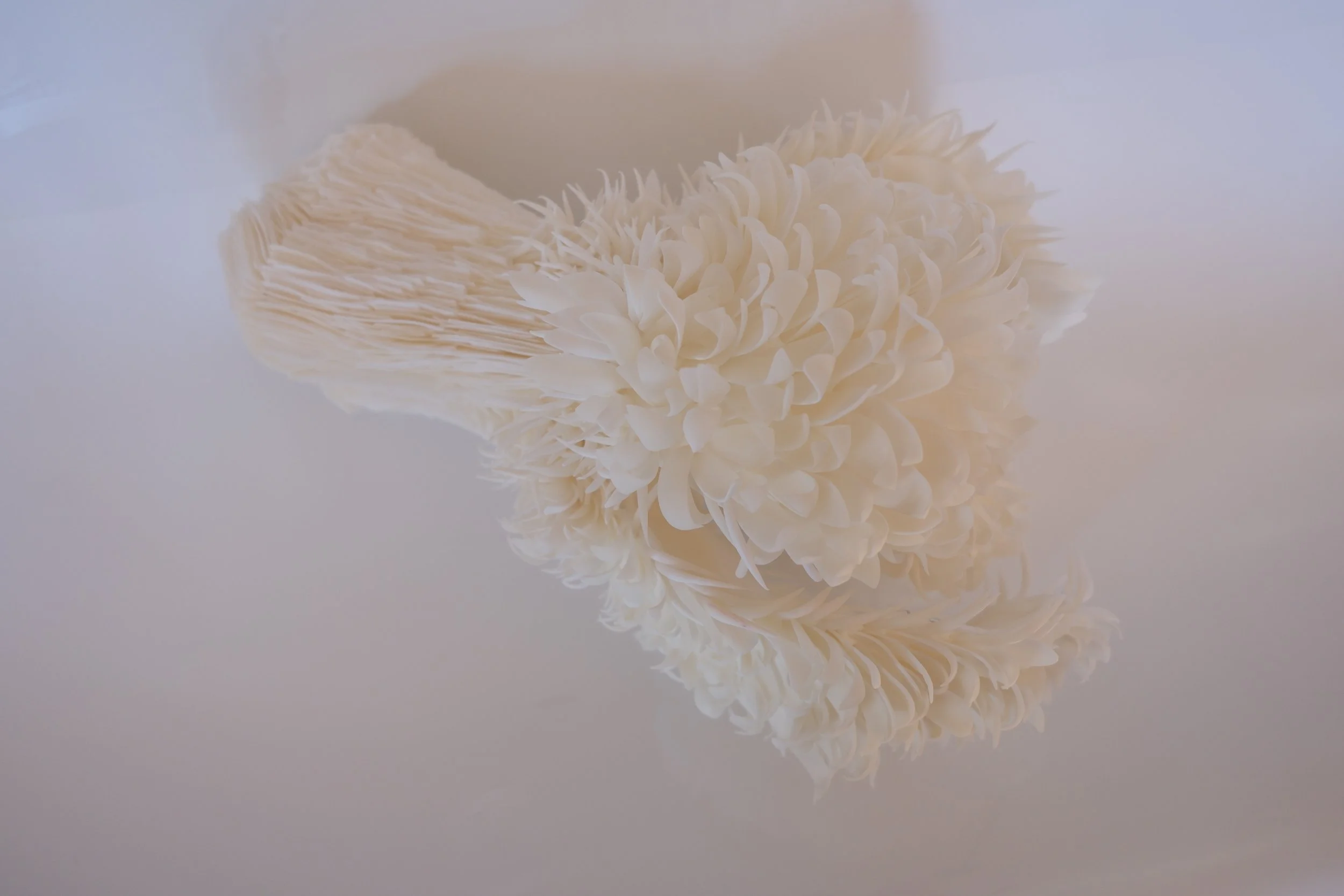 Mind Controller 1.JPG