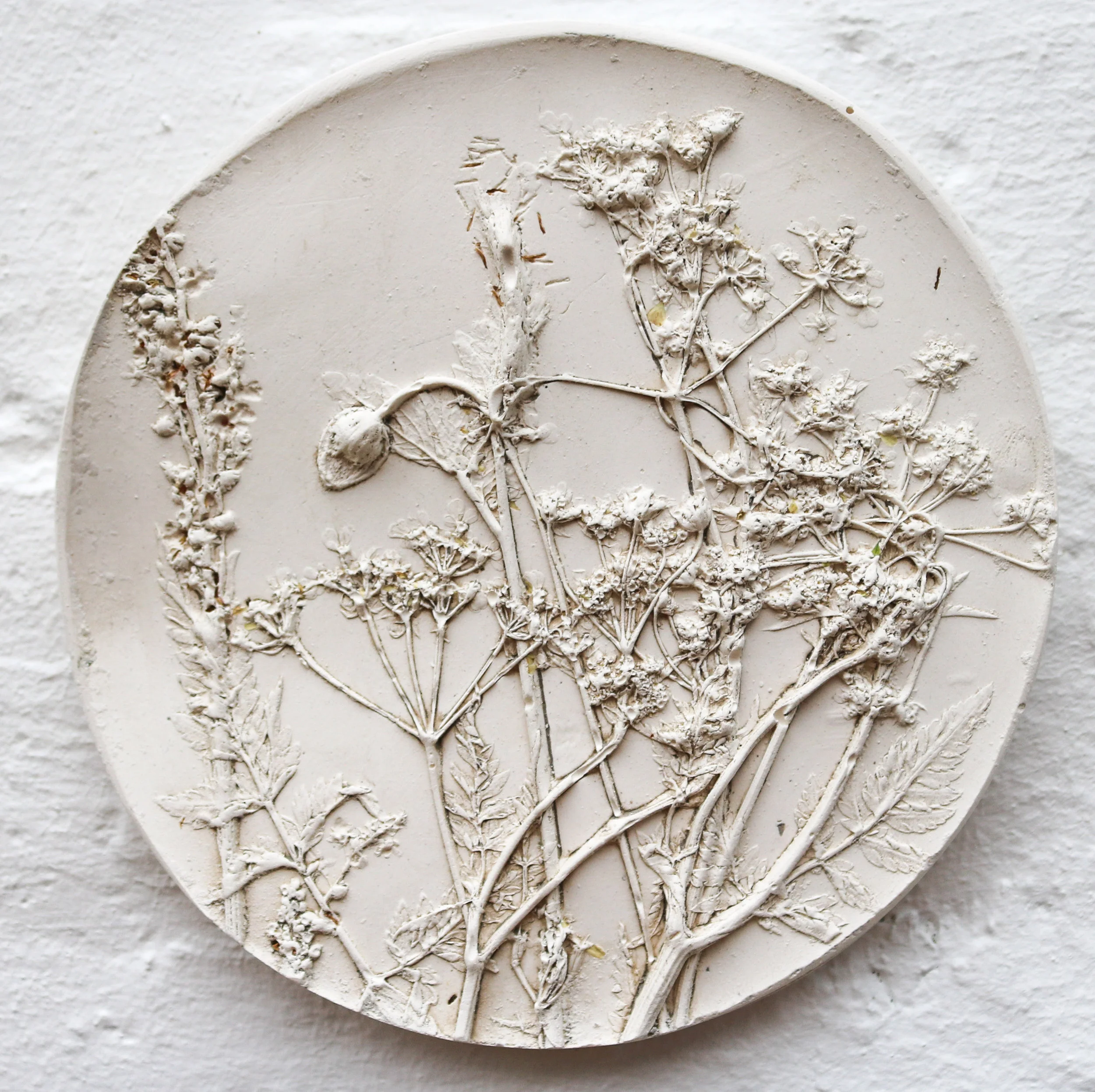Cow Parsley Meadow Plaster Cast Wall Hanging