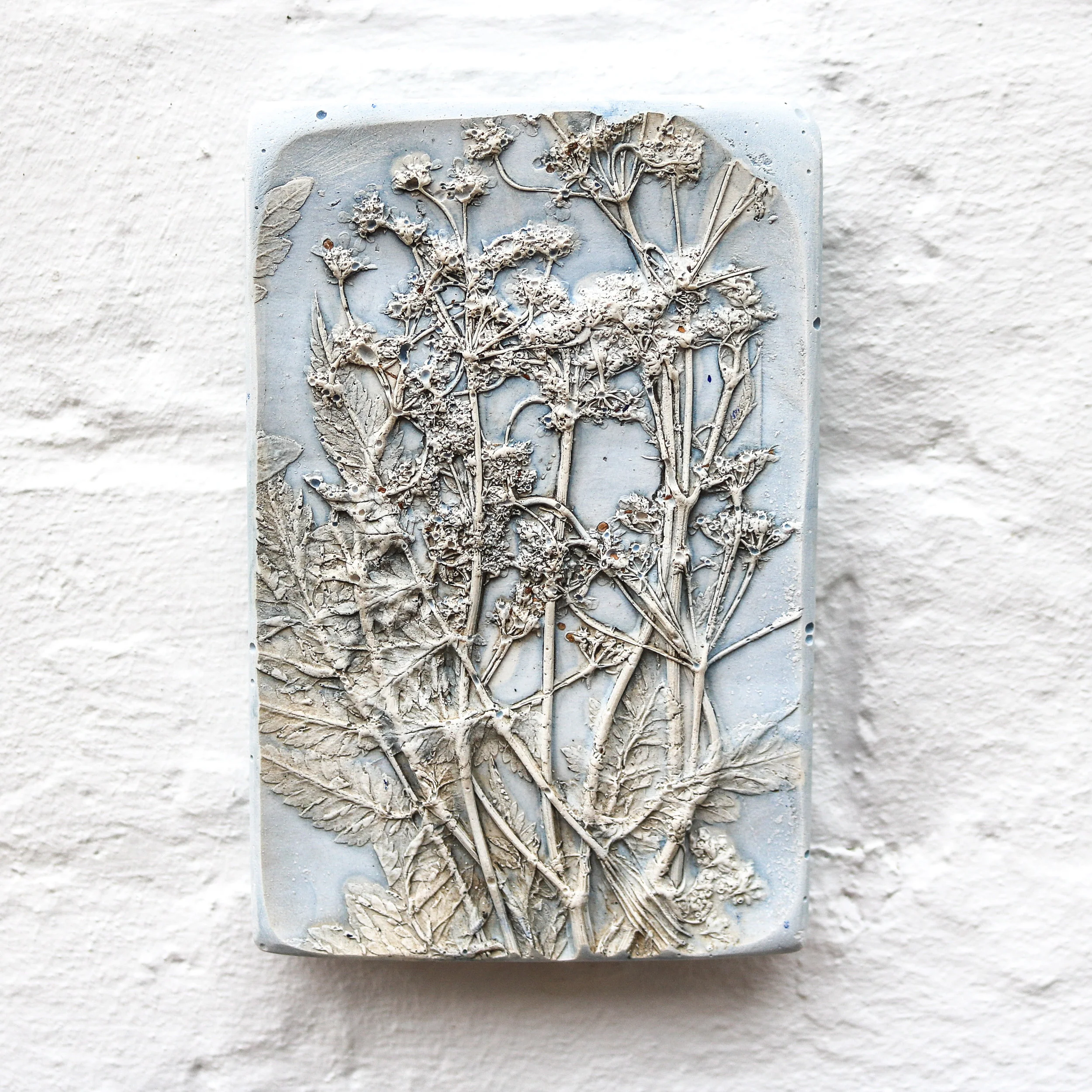 Small Cow Parsley Plaster Cast wall Hanging