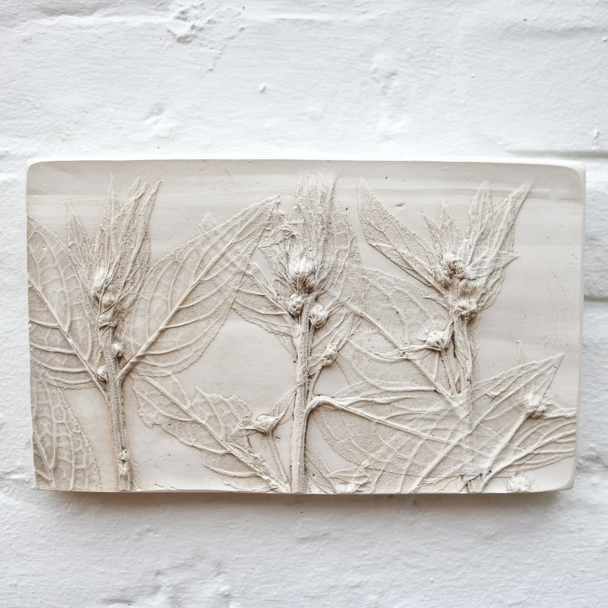 Green Alkanet Buds Plaster Cast Wall Hanging