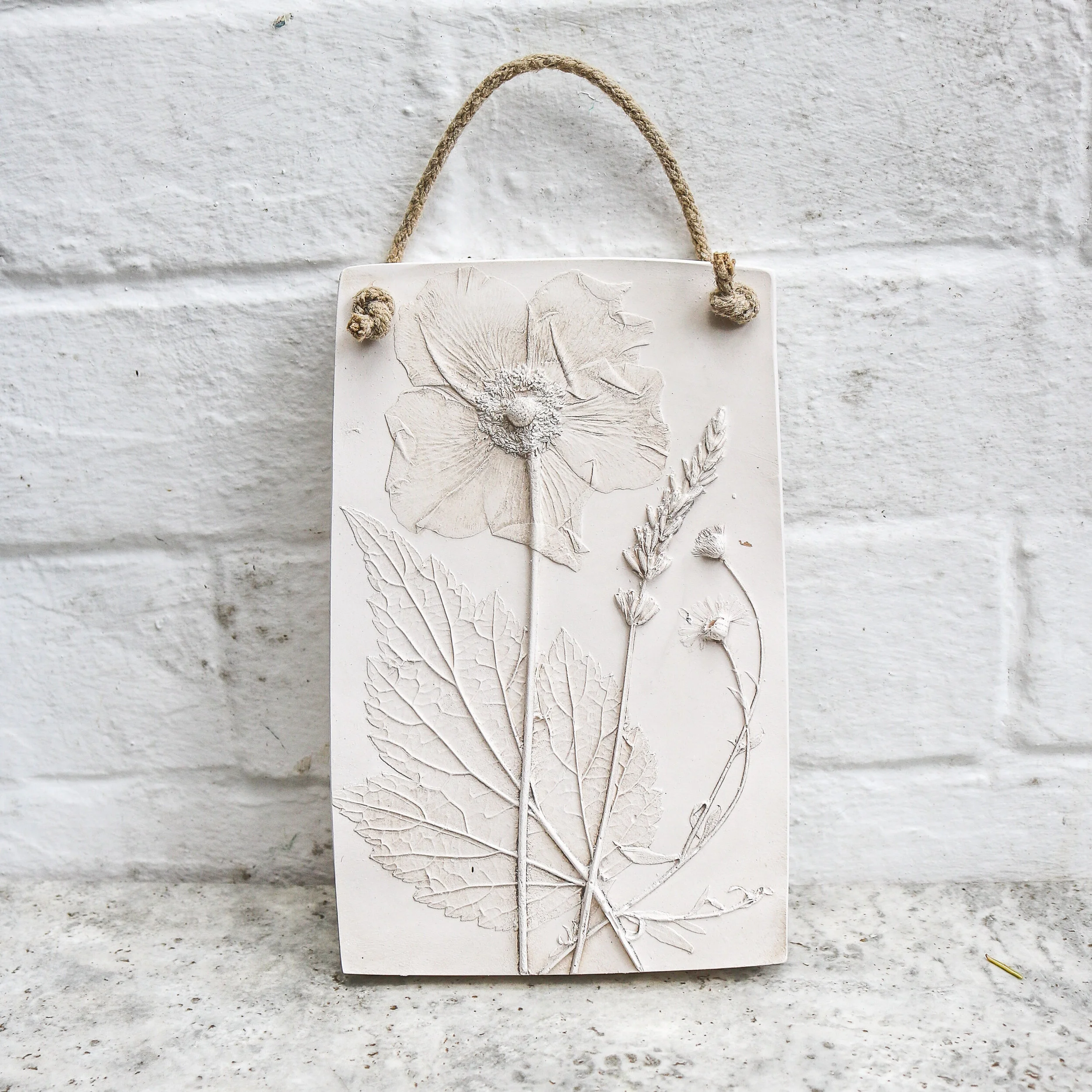 Botanical Plaster Cast Japanese Anemone