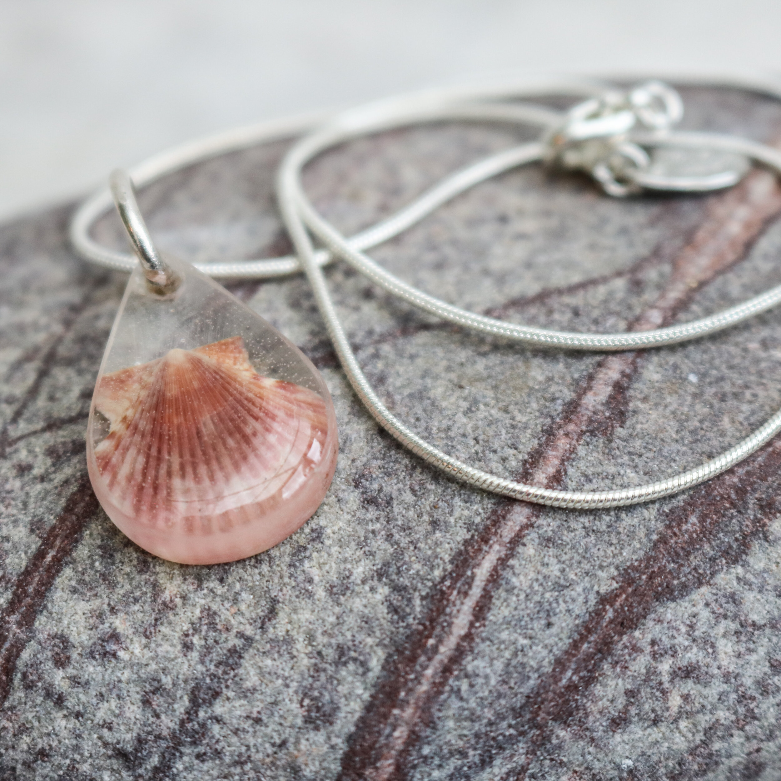Resin Devon Shell Necklace