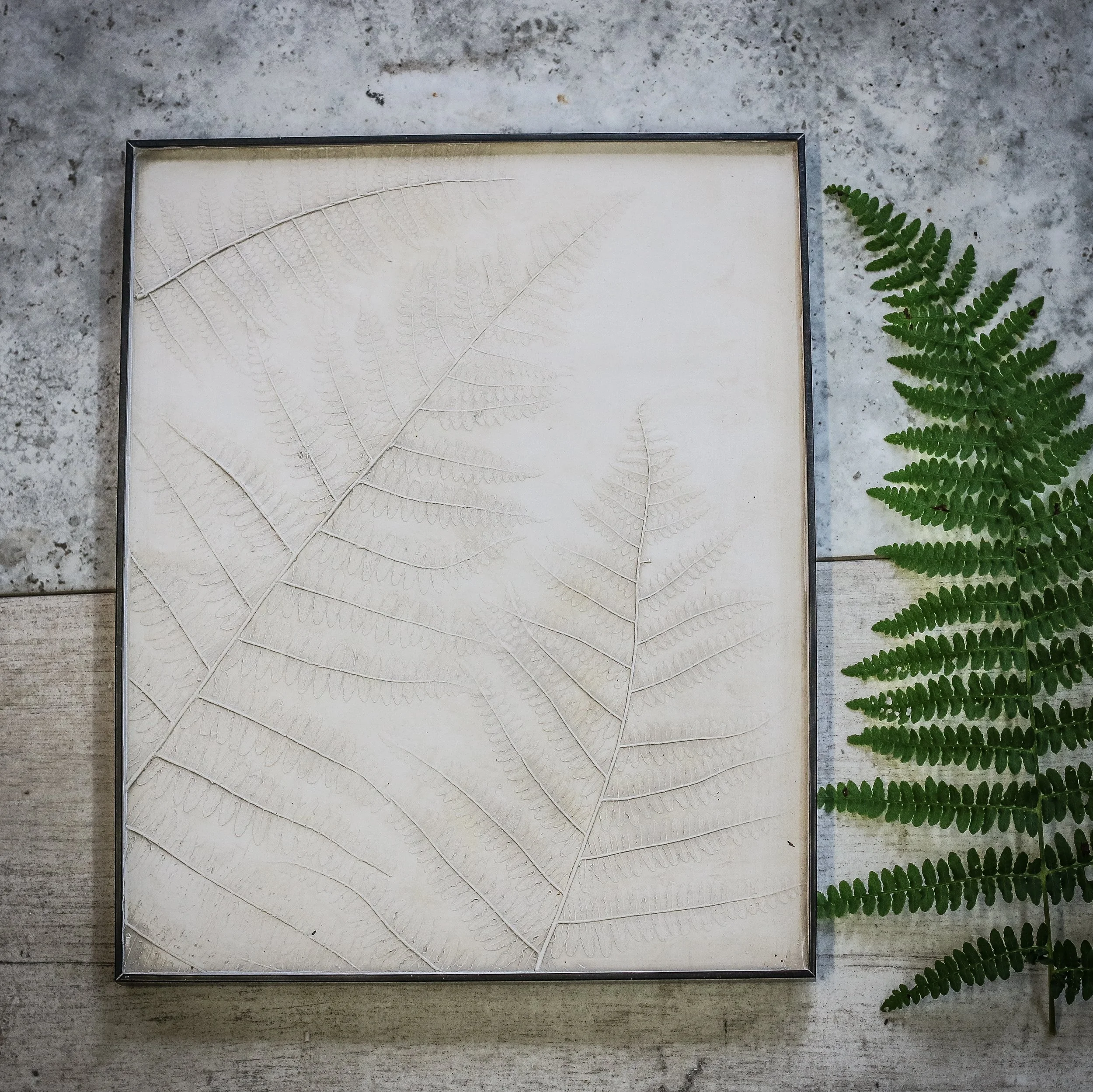 Fern botanical Framed Wall Hanging