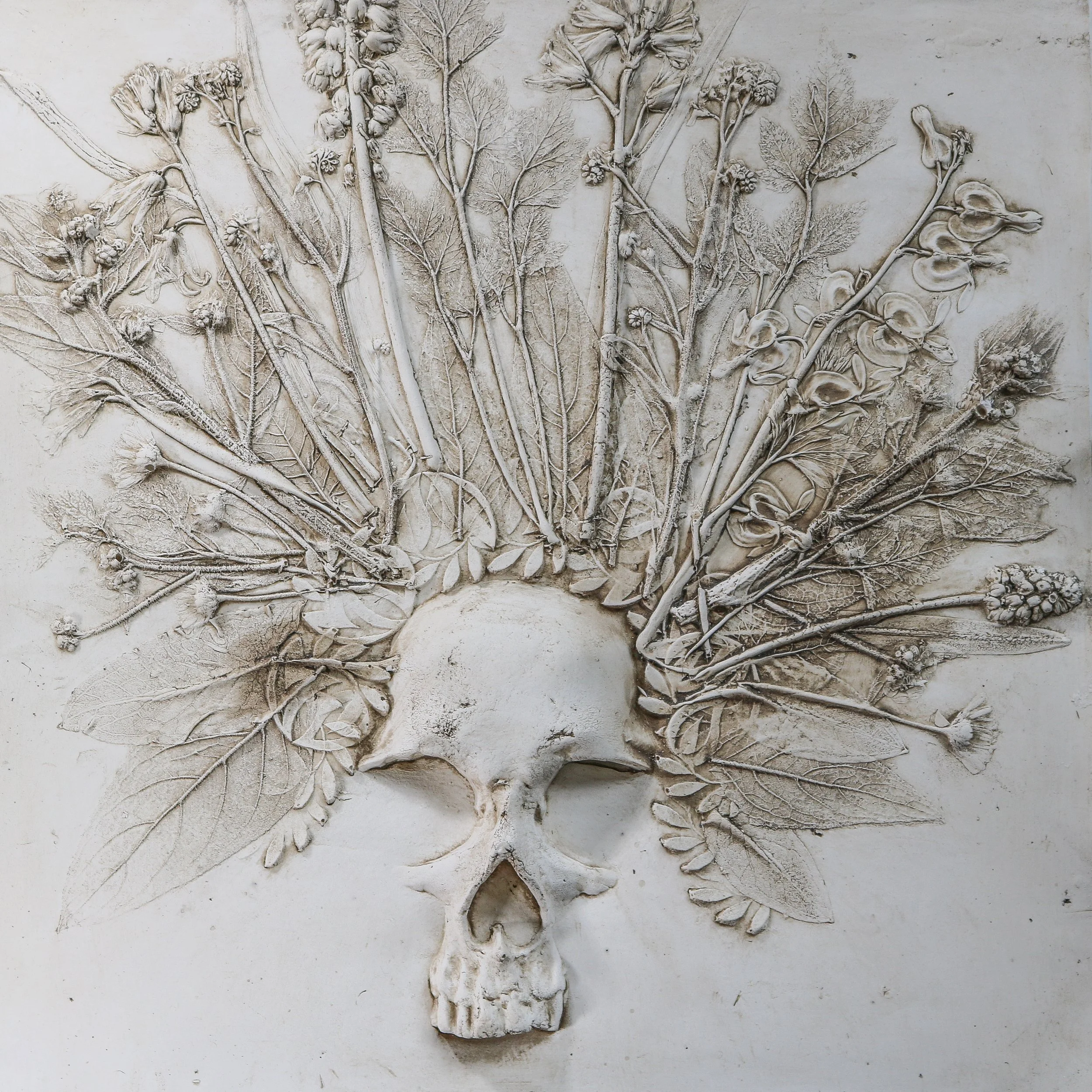 IMG_6706_SKULL.jpg