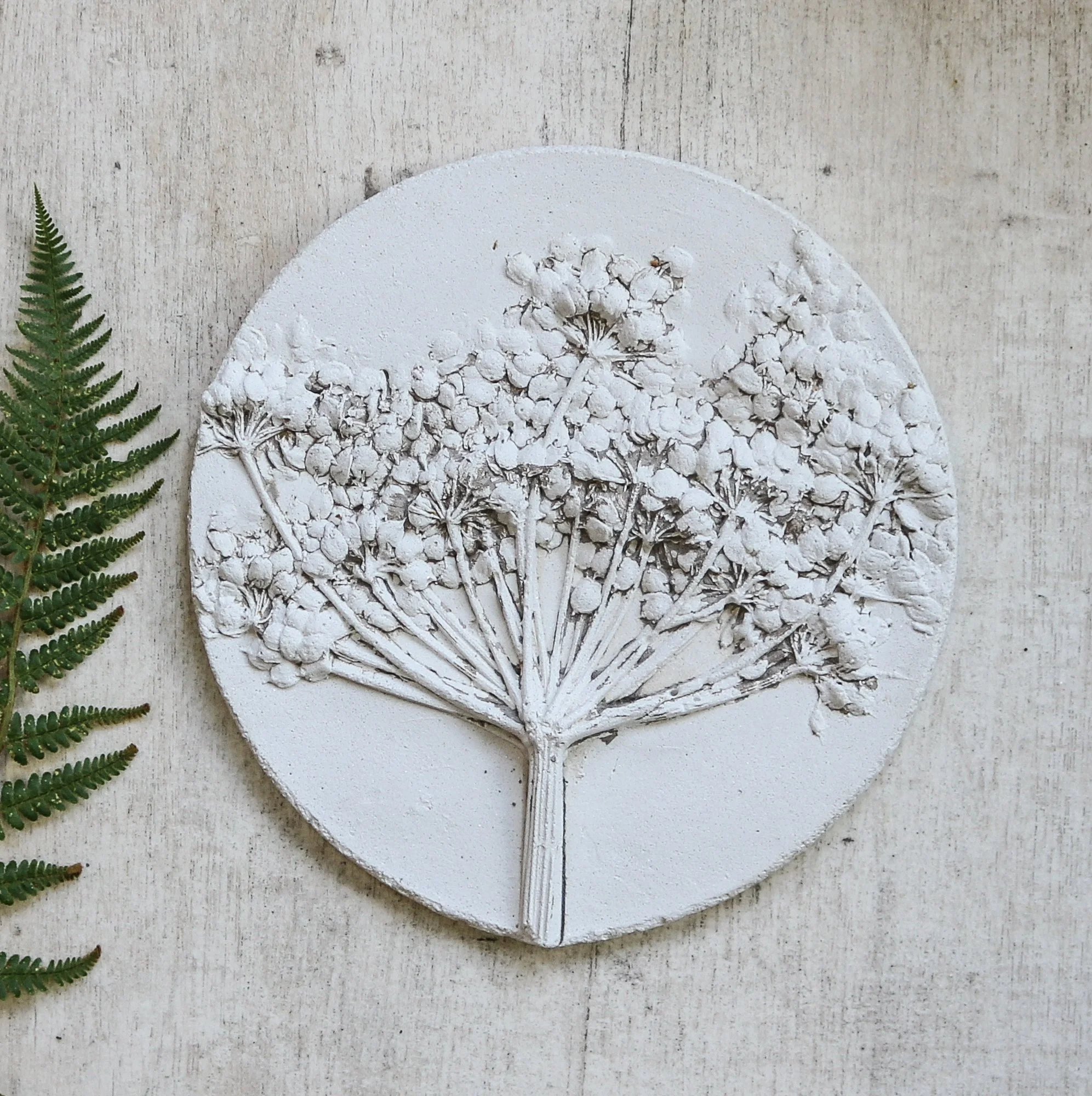Hogweed botanical White Marble jesmonite wall hanging
