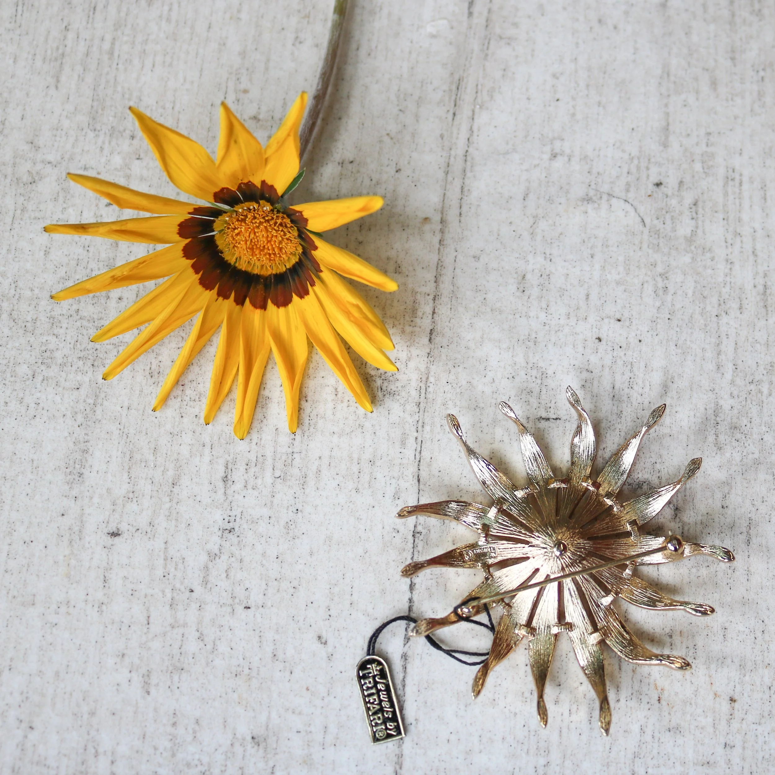 IMG_8025_edited.jpg