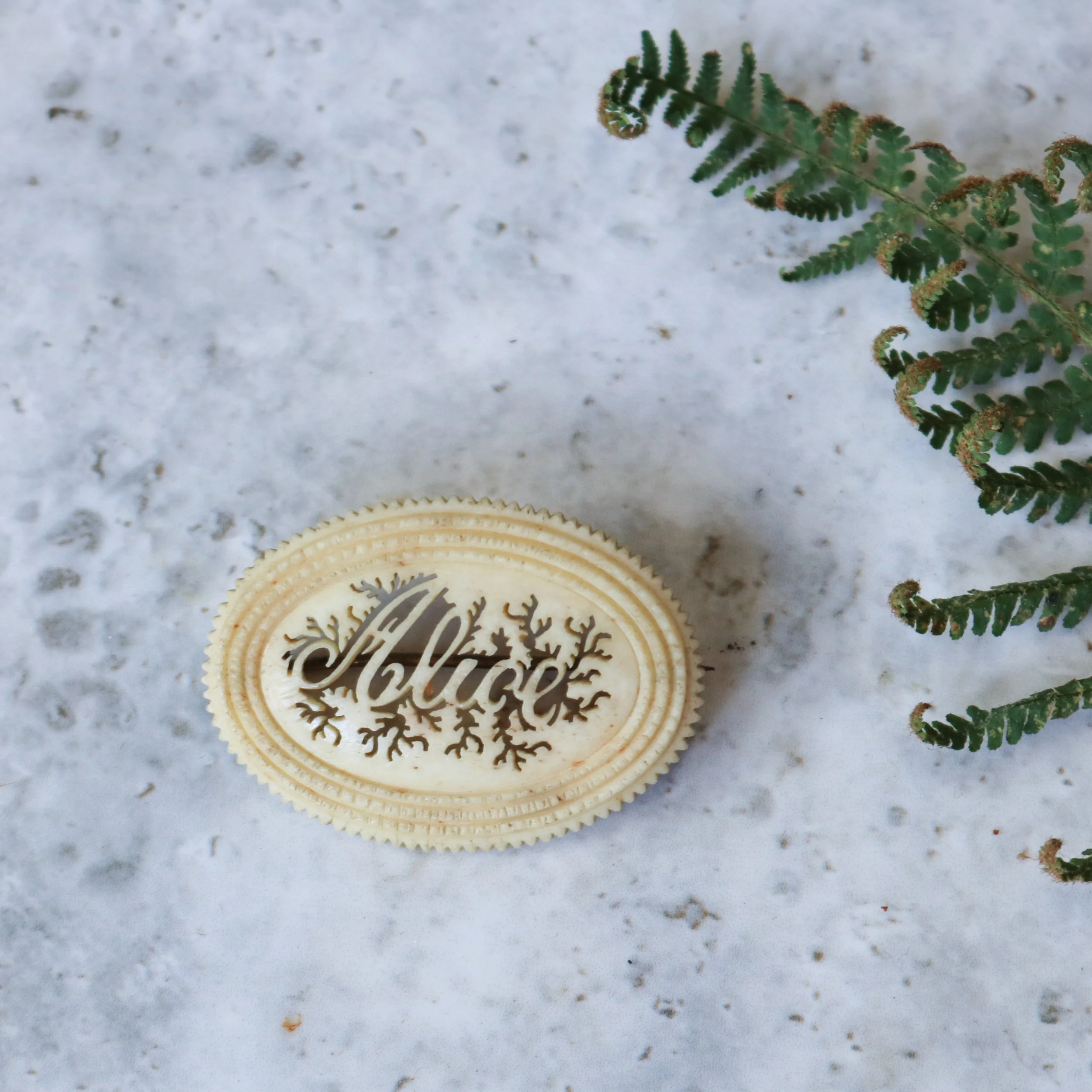 Victorian Carved Bone Bovine Alice Brooch