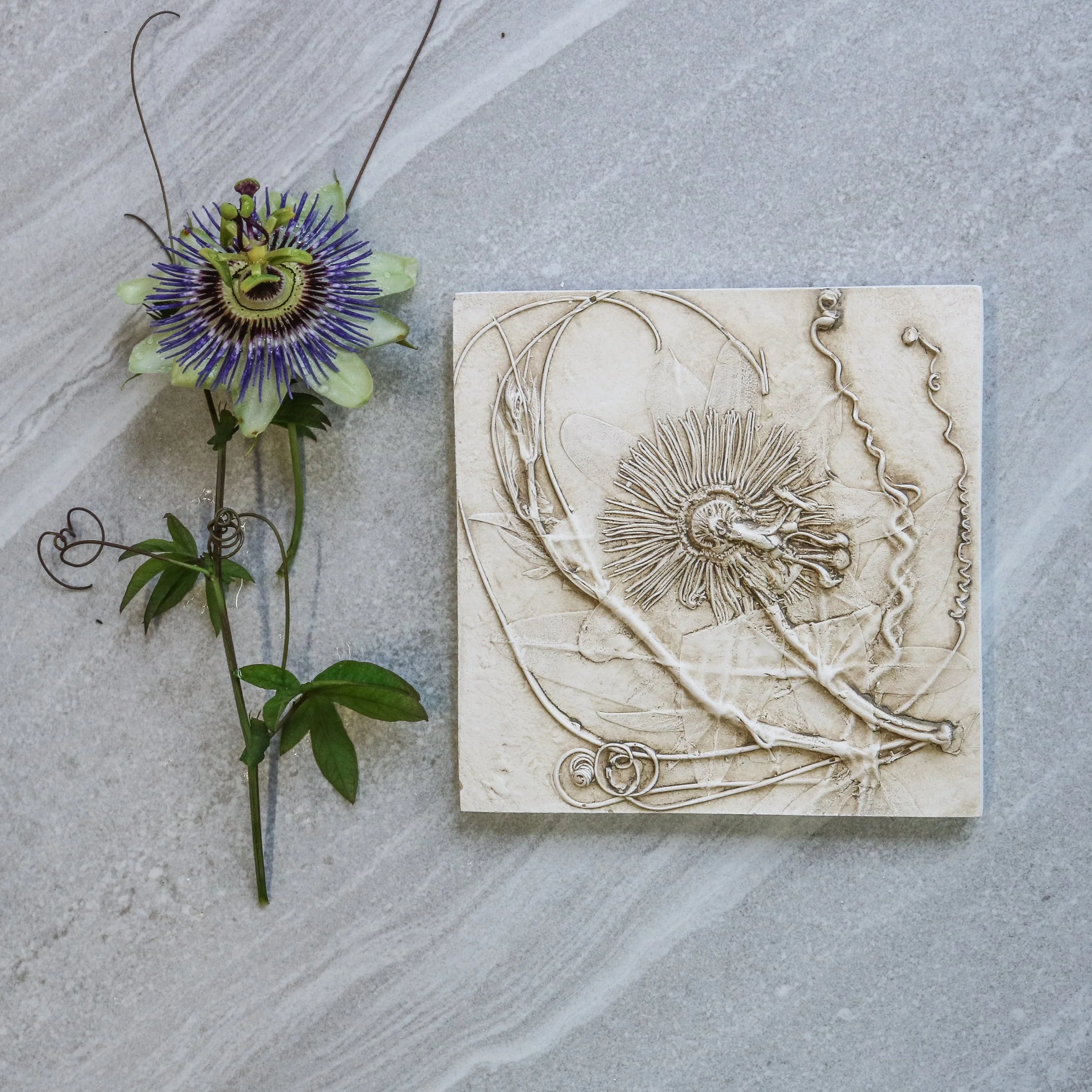Pasion Flower Botanical Print Wall Hanging
