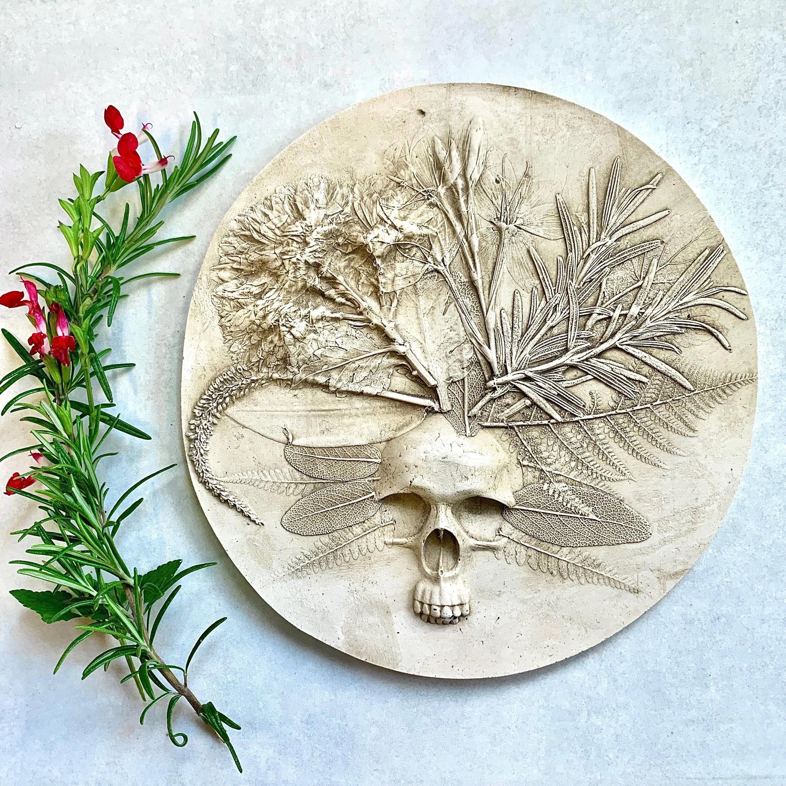 26DE41D6-36B6-456C-87FF-9D2FA8480D28