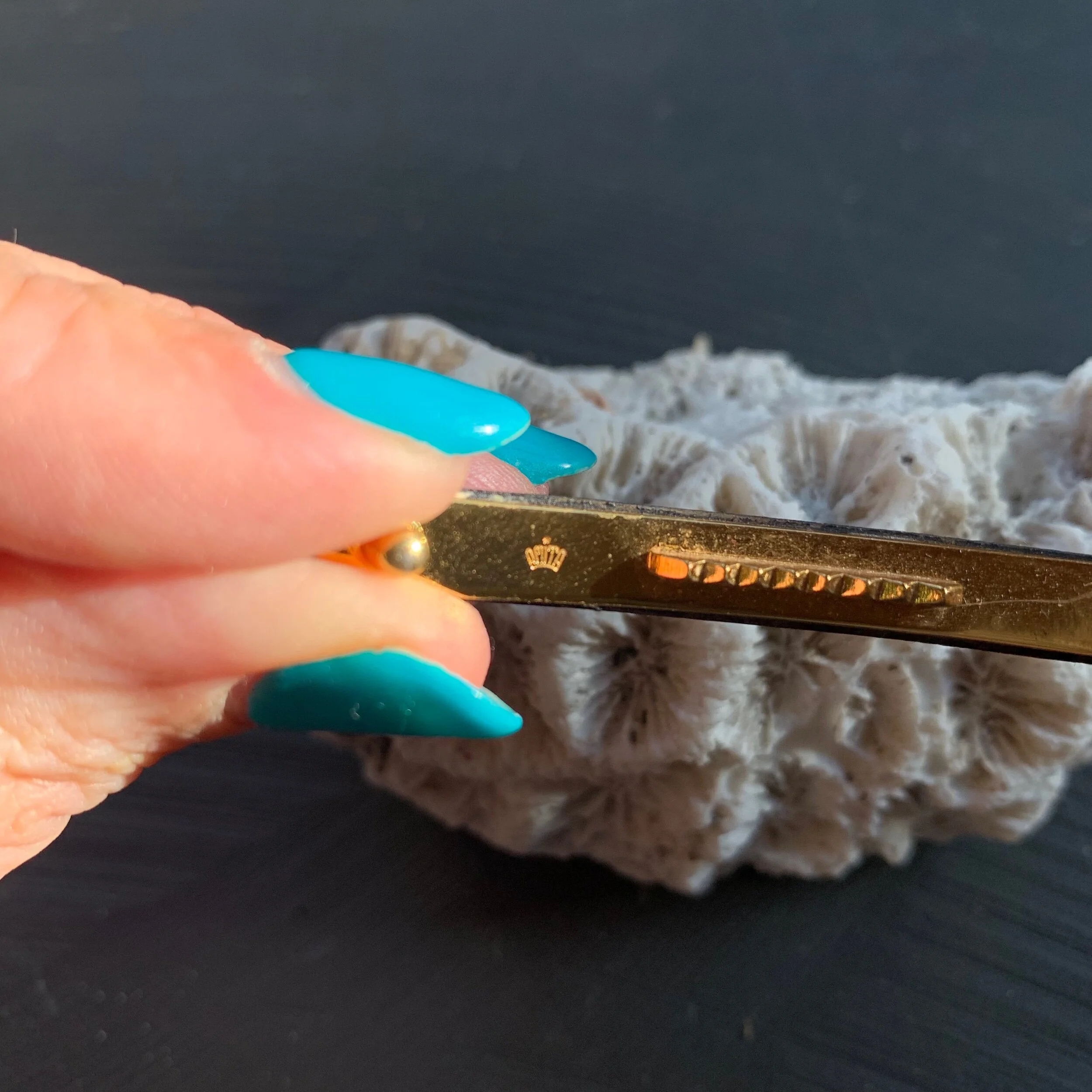 F1DCC3AC-81CC-42E3-8AD8-B07D7C84BCA7