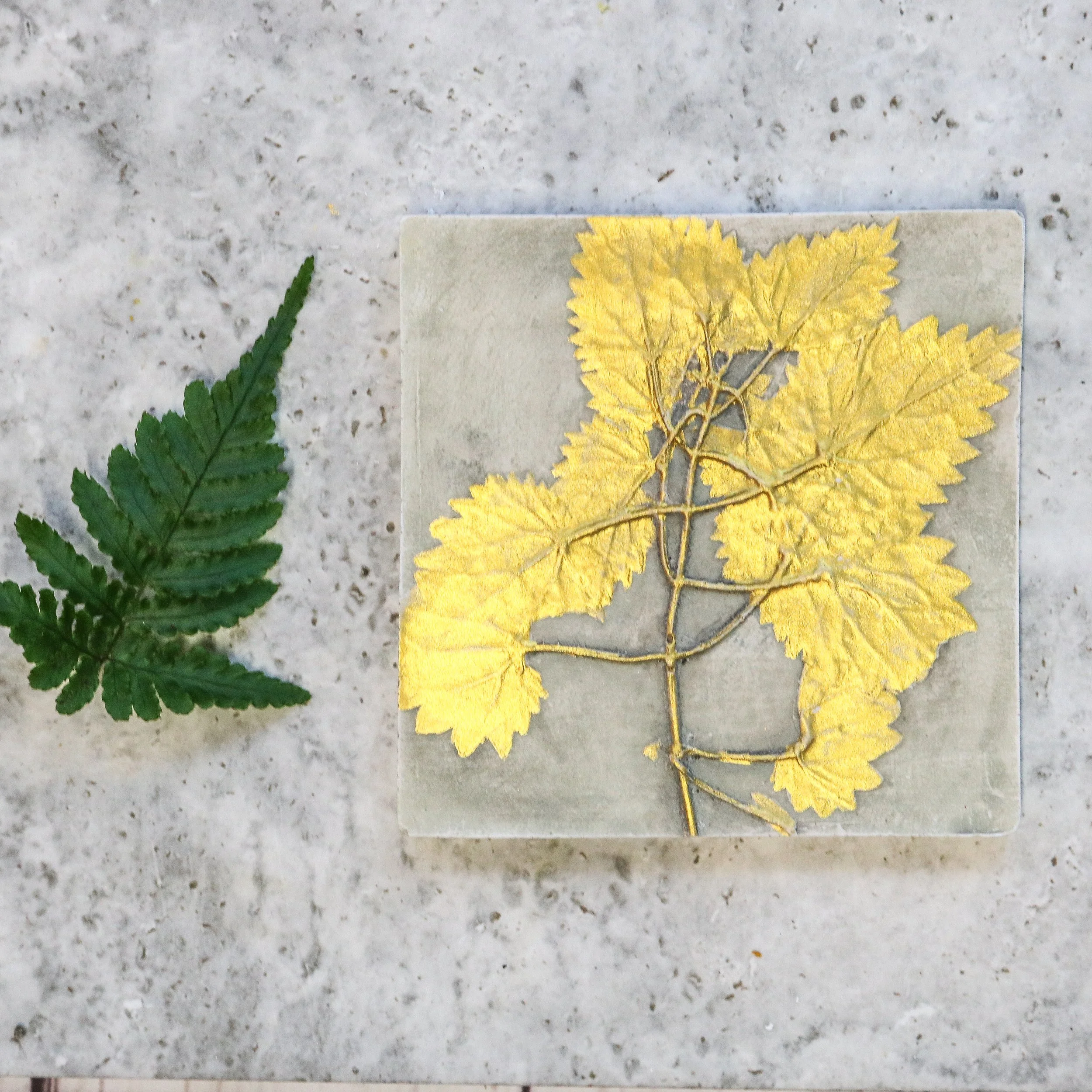 Gold Nettle Botanical Print Tile