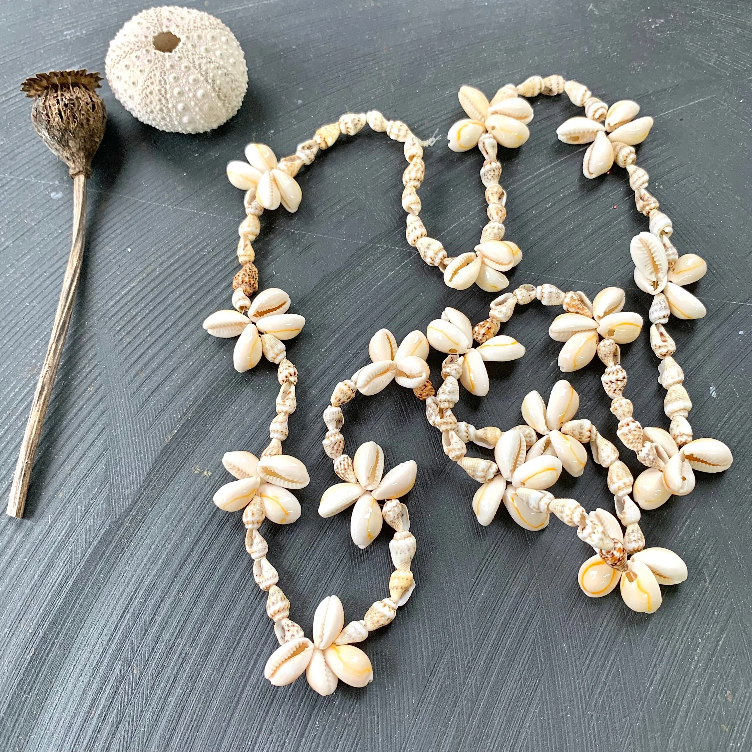 6E7FBBC4-070D-4951-AB1C-E8BE13F4C21B