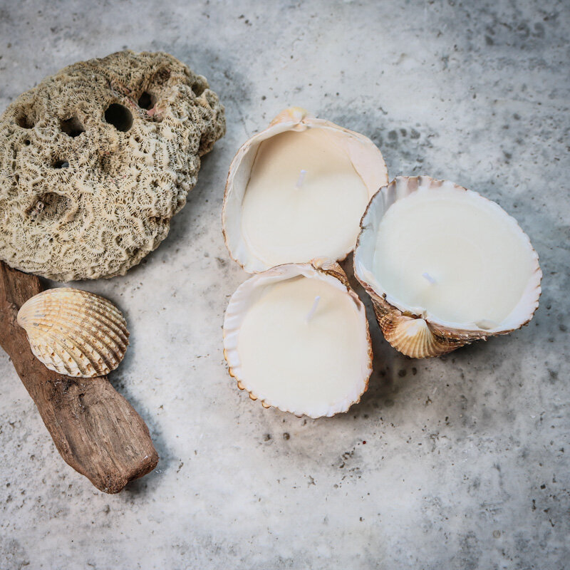 67A593EE-4FB4-4B63-800D-DE07650B4B7A