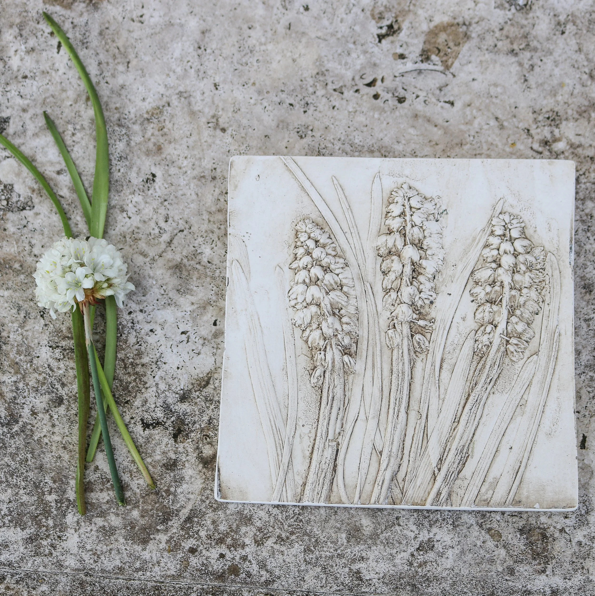 MUSCARI PRINT BOTANICAL TILE