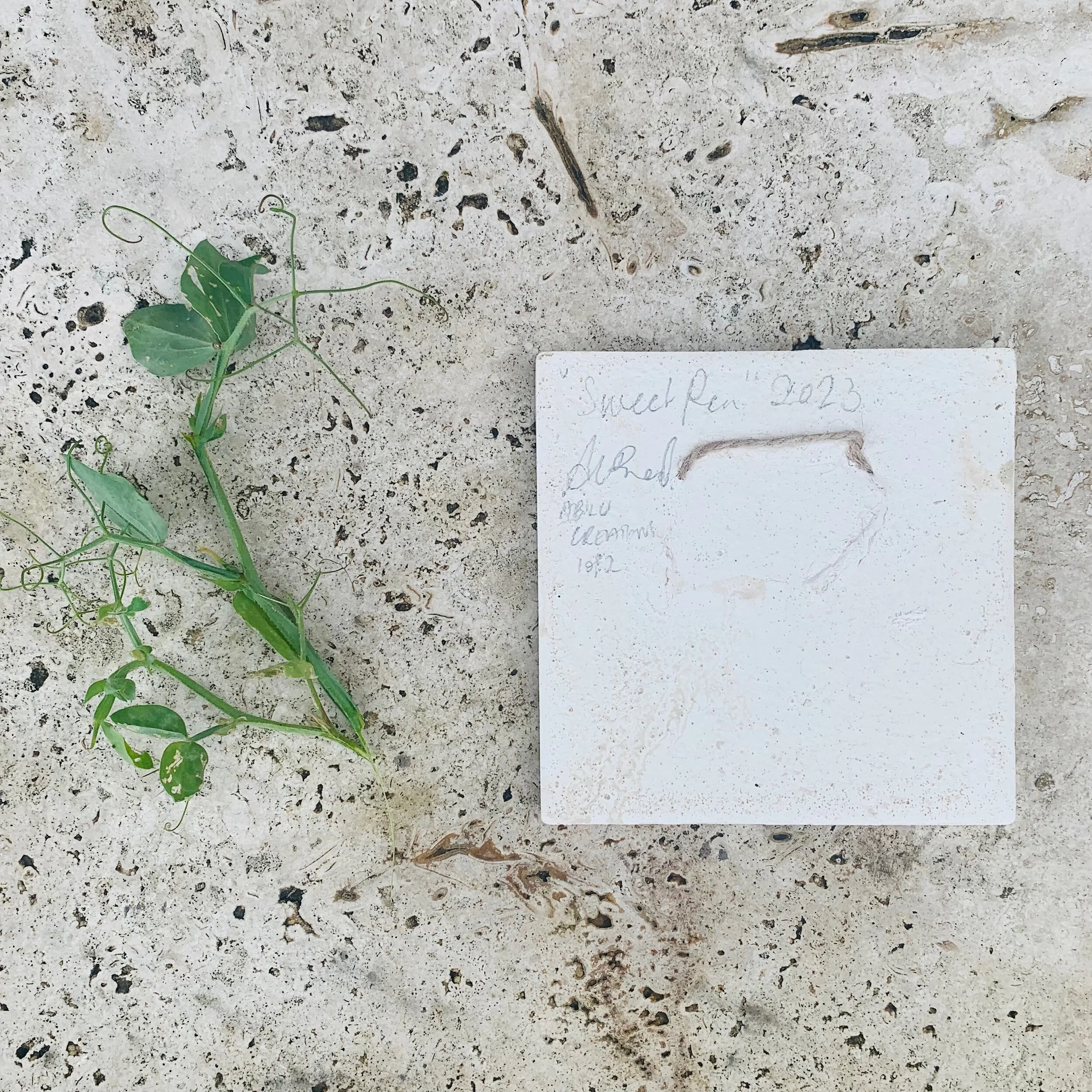 E605AE46-2856-417B-92D5-75BFE959399E