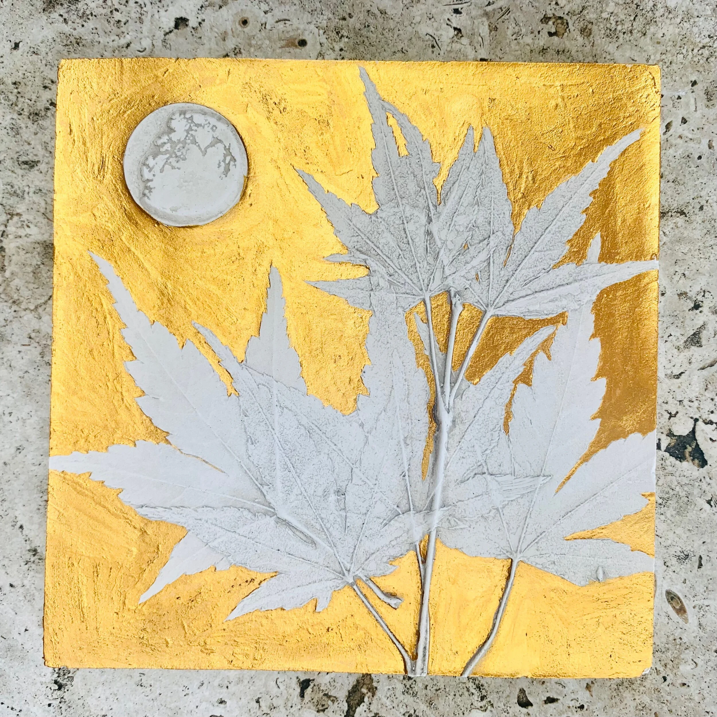 F132A7F9-6445-4466-97FD-AF82474B579C