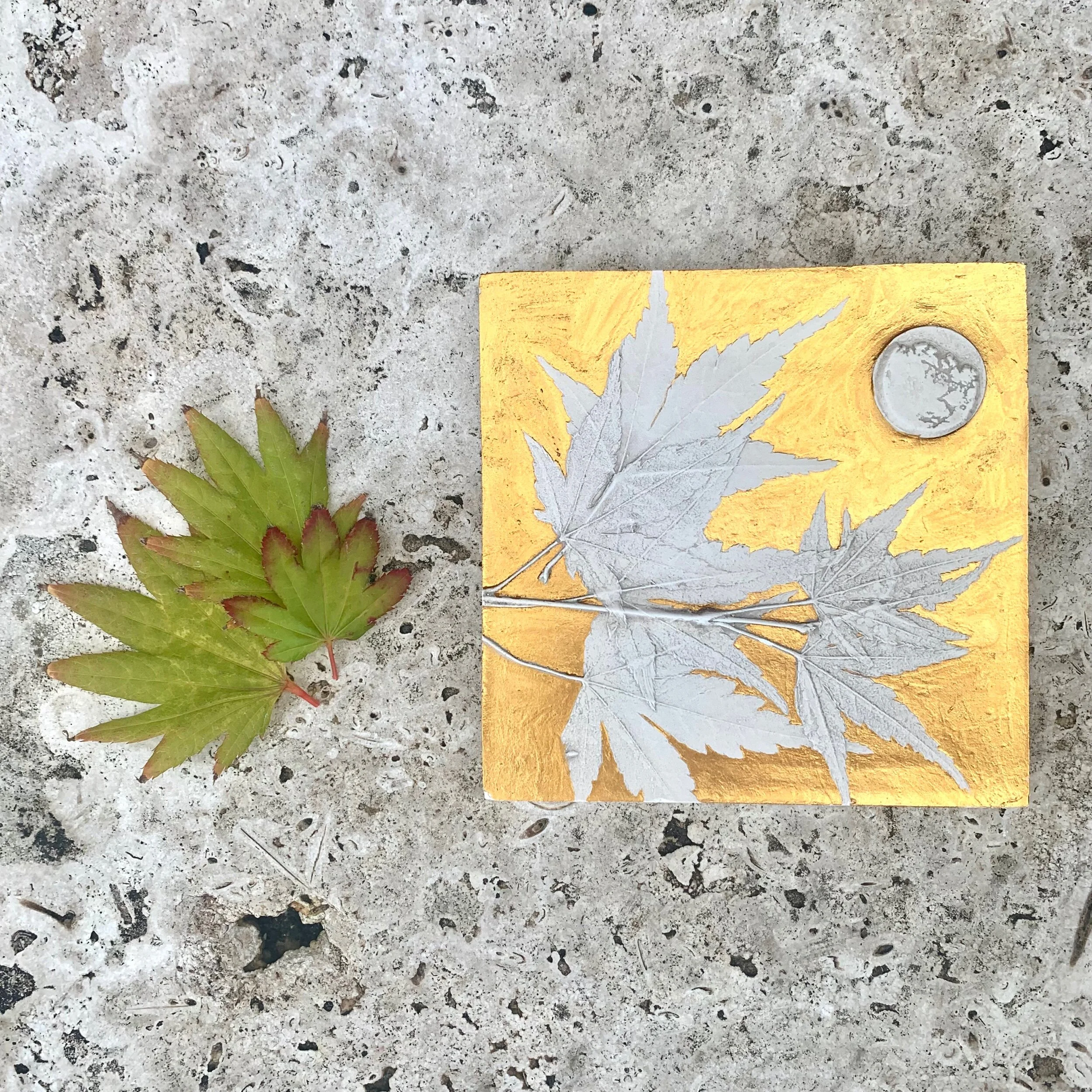 C078A778-CC07-483C-9052-3221B6A9BB72