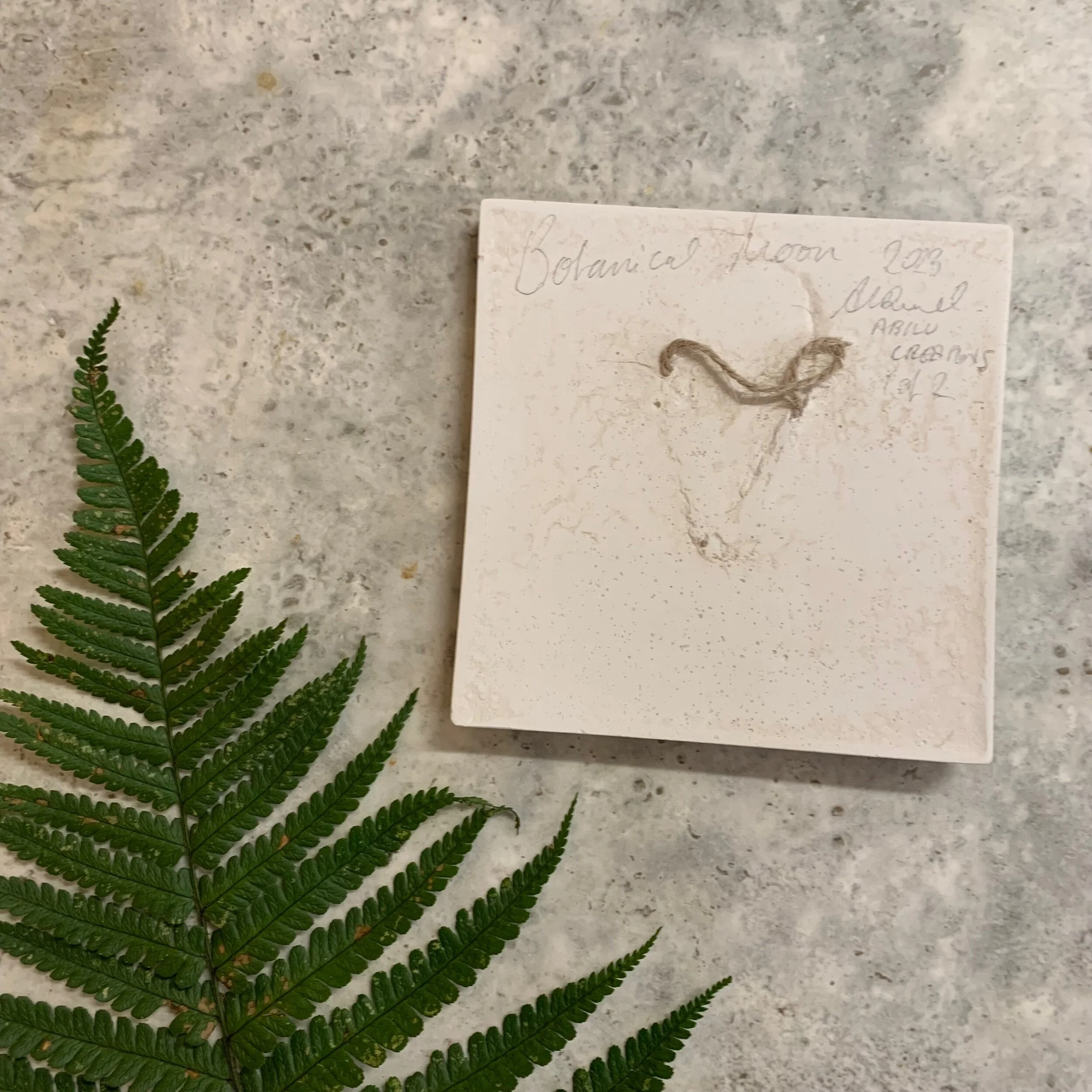 FA8B574C-17B6-4957-B615-796EC384BE15