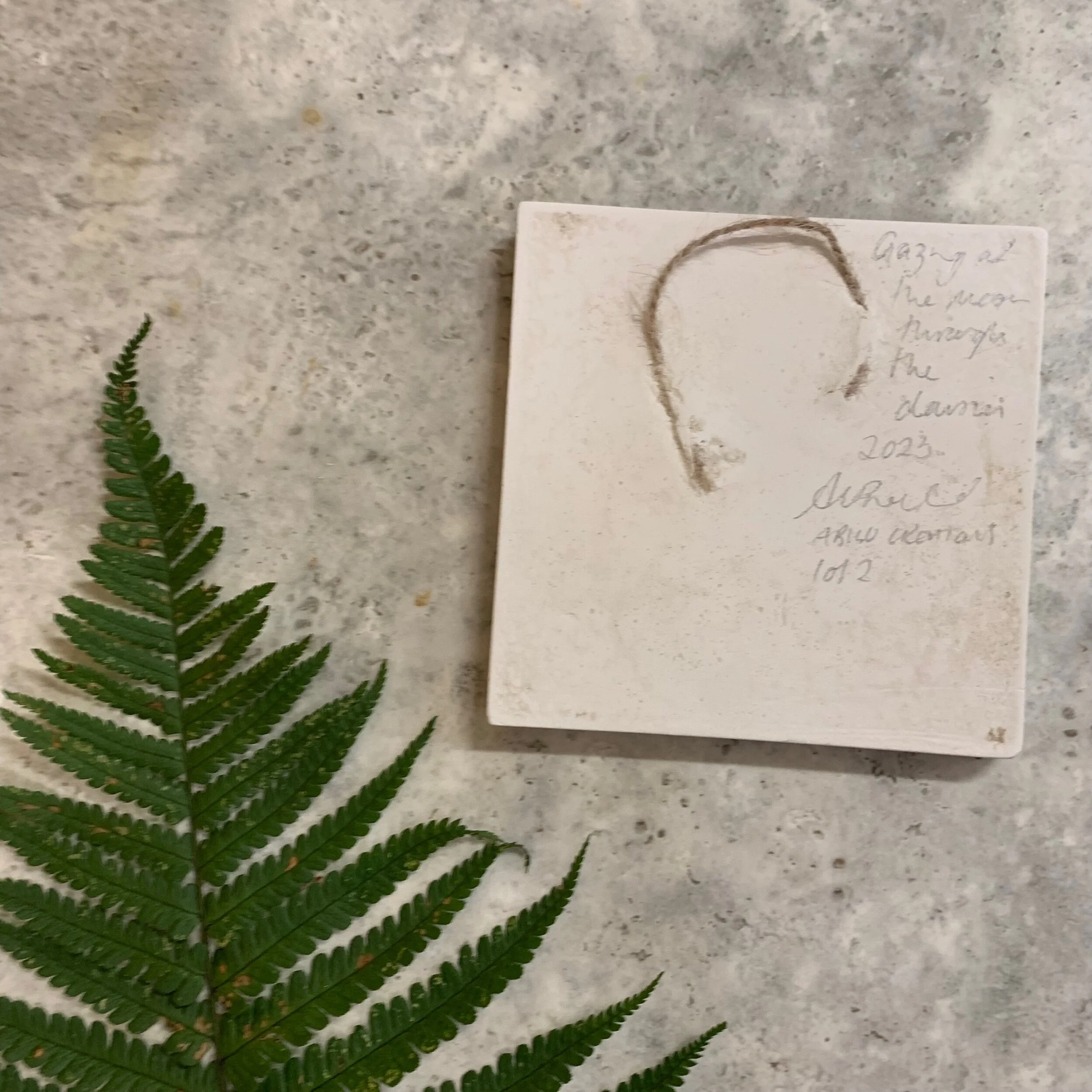 FF996432-F5EE-462B-868A-5DE2052A5C1B