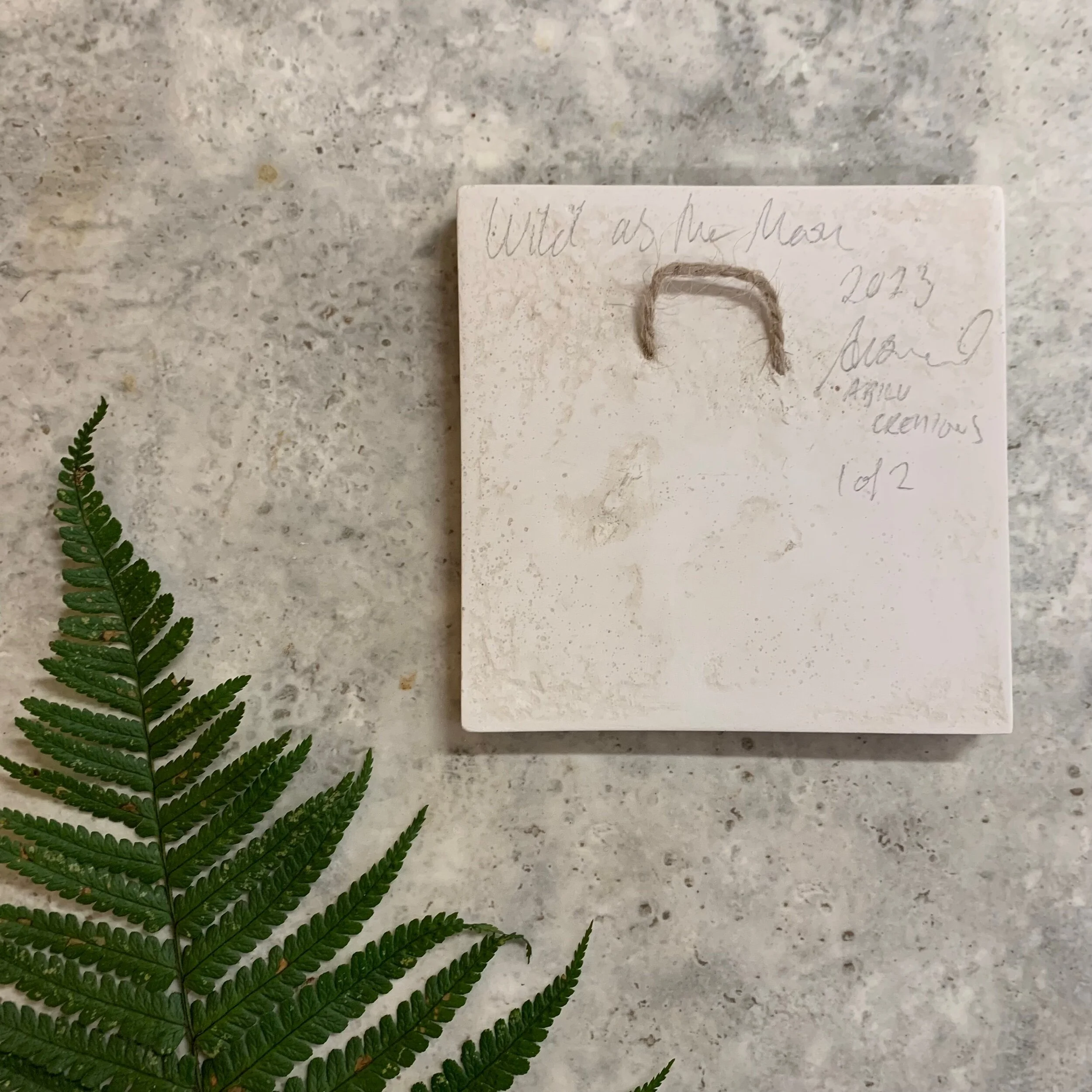 D338E229-2D9A-498F-A16D-D400056C5ADD