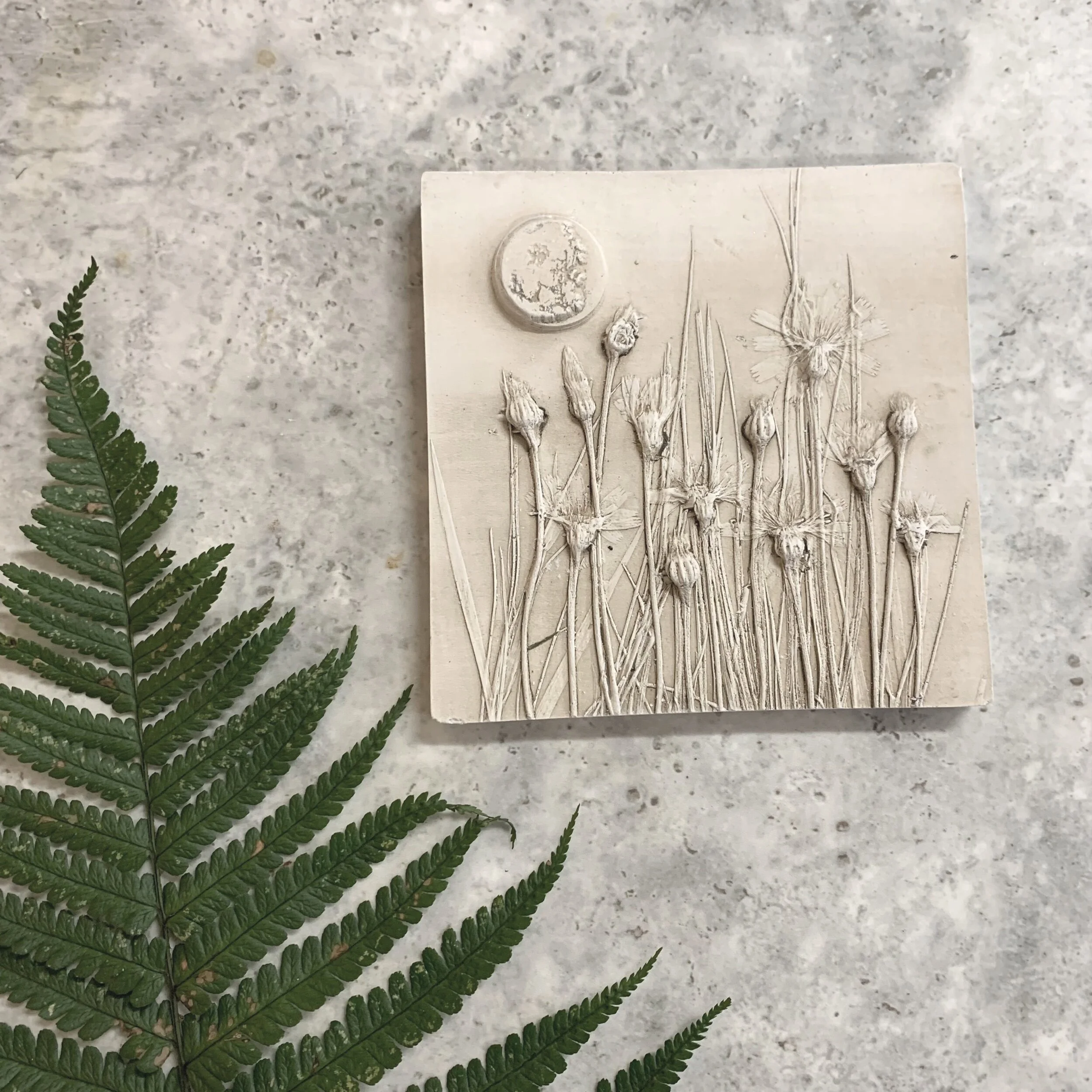 4ACD37B1-AE16-4605-BA7B-93165D18500E