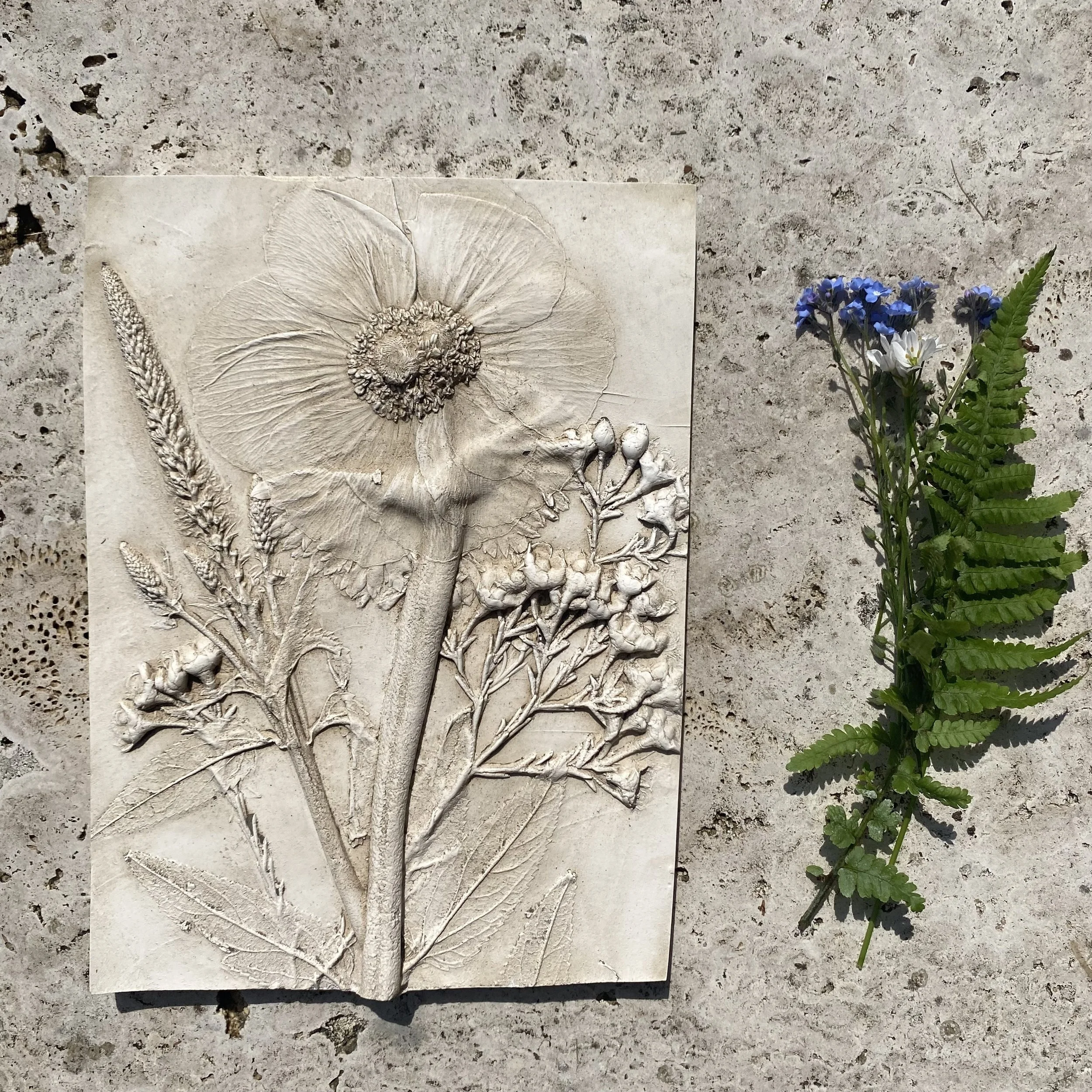 Anenome,  Veronica and wax flower print wall hanging