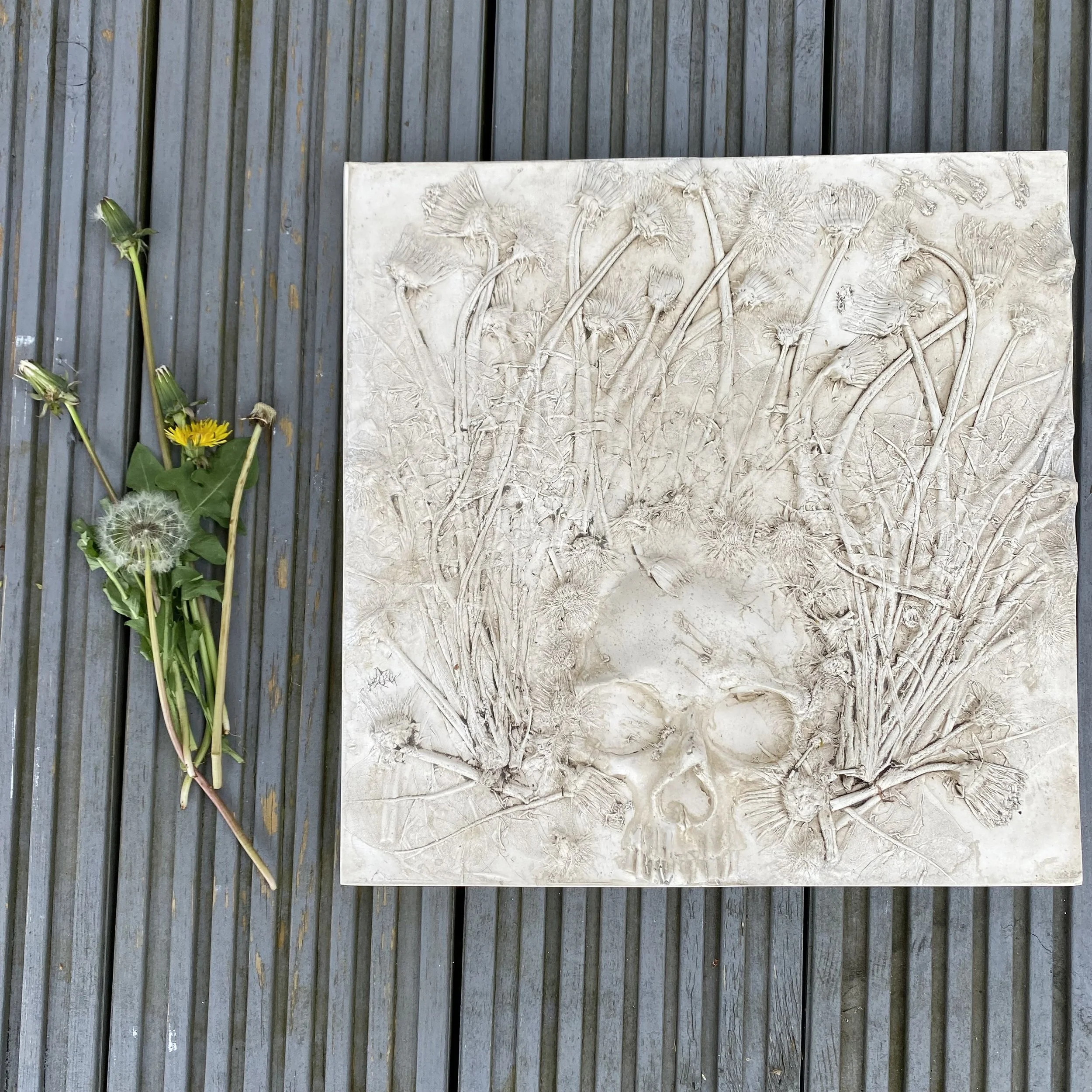 Dandelion Dreams Skull Spirit Wallhanging