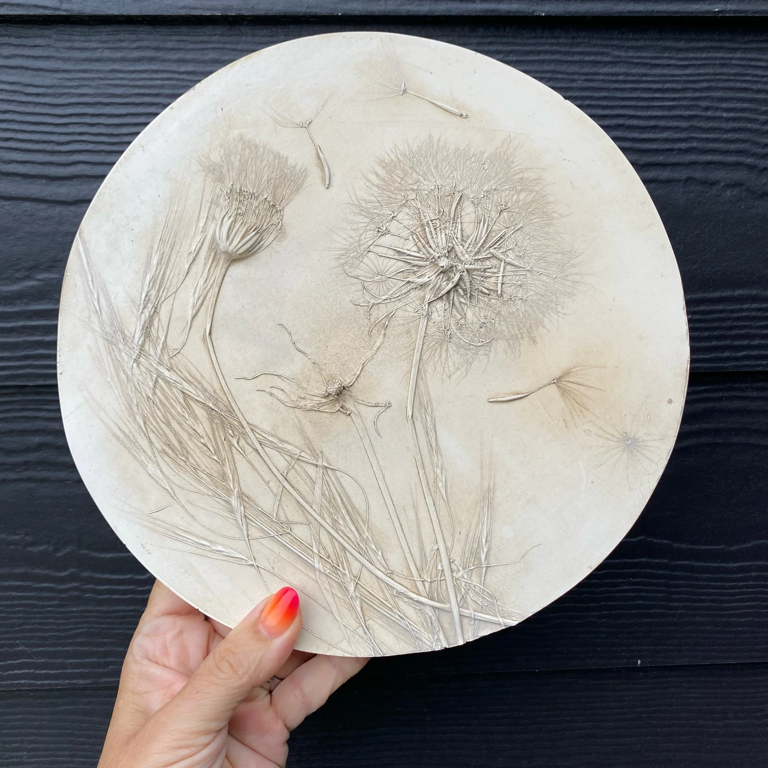 Giant Dandelion Botanical Print Wall Hanging