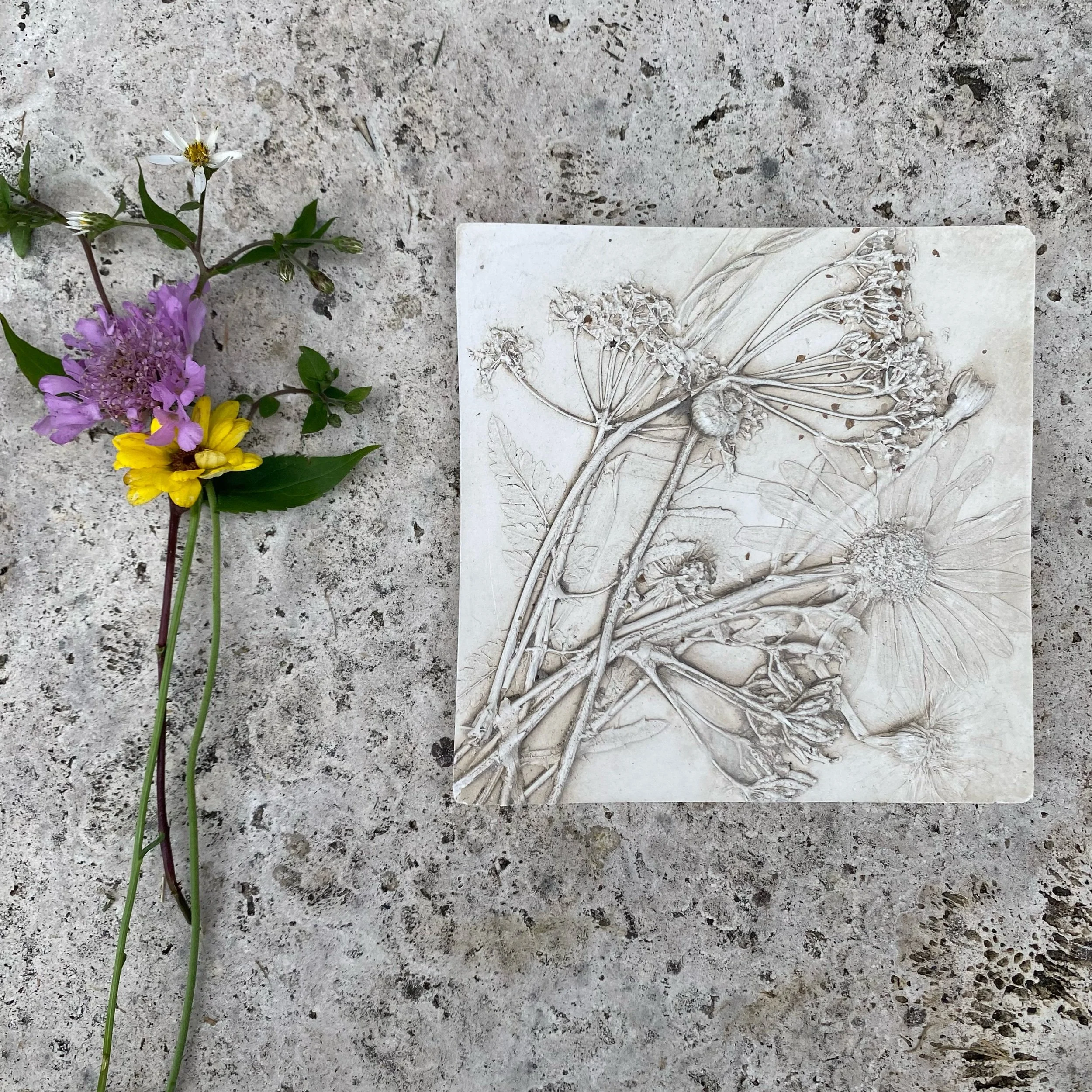 Daisy and Cow Parsley Print Tile