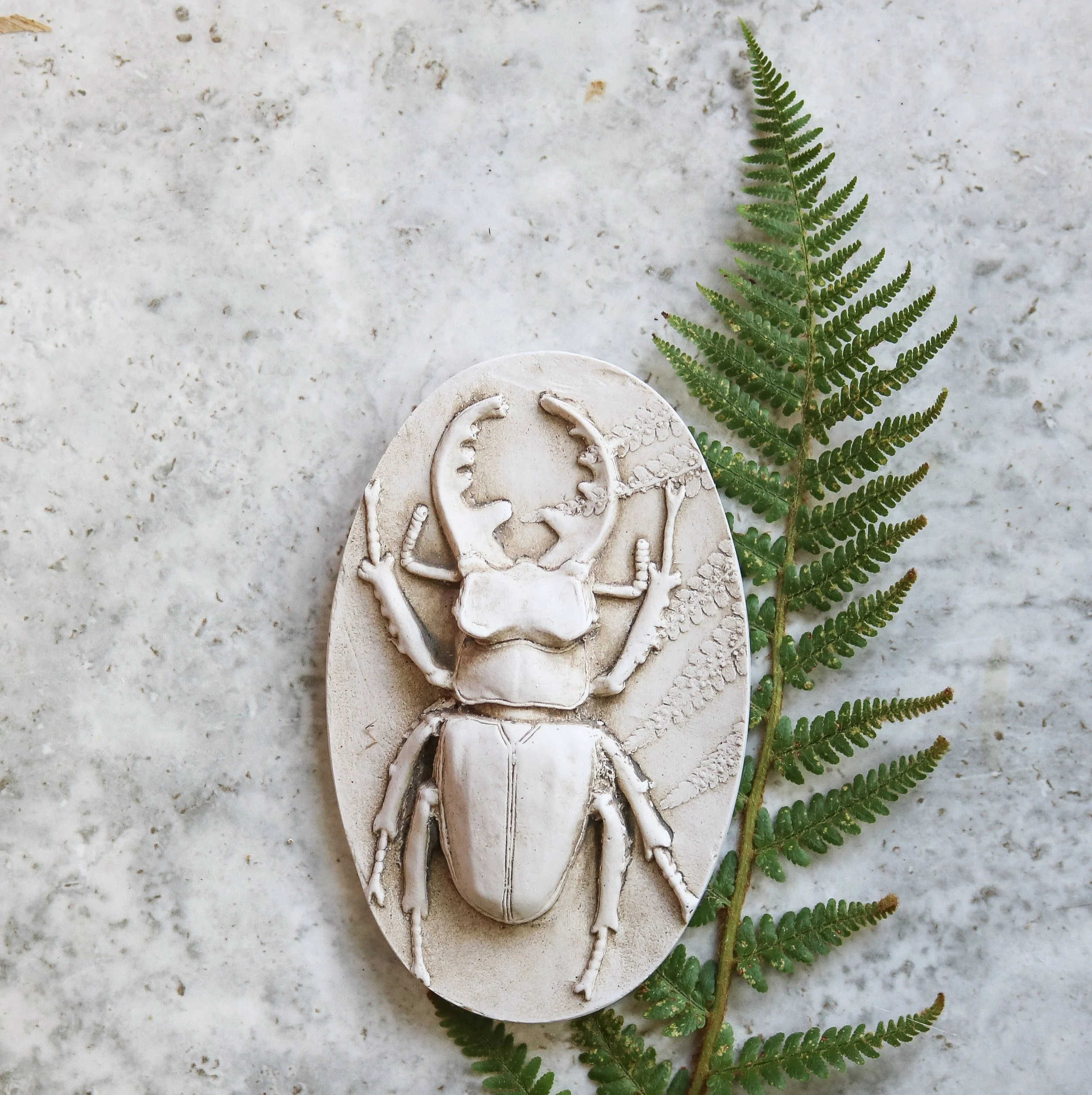 Moulded Lucky Oval Stag Beetle & Fern Cast