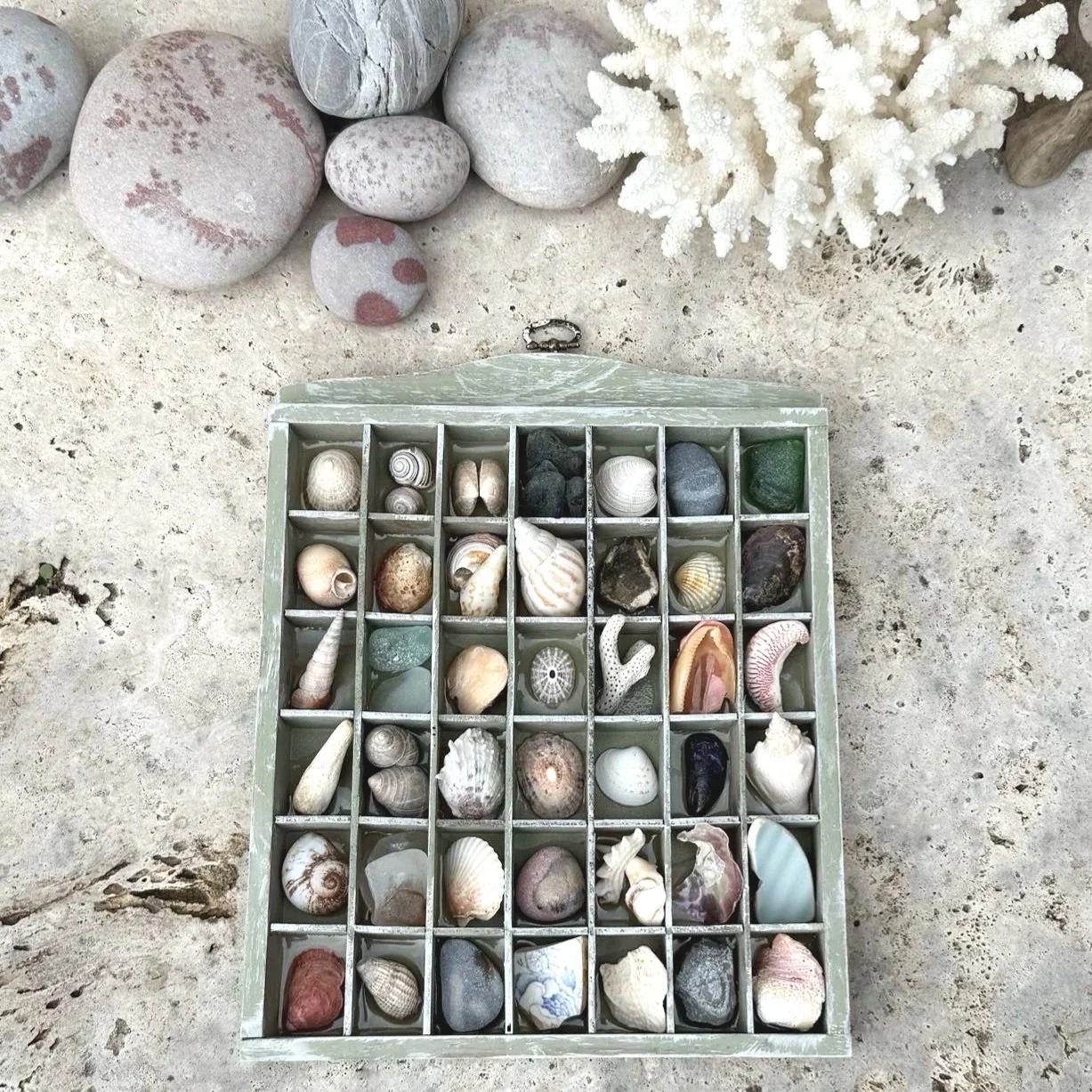Beachcombers Treasures vintage printers tray Wall Hanging