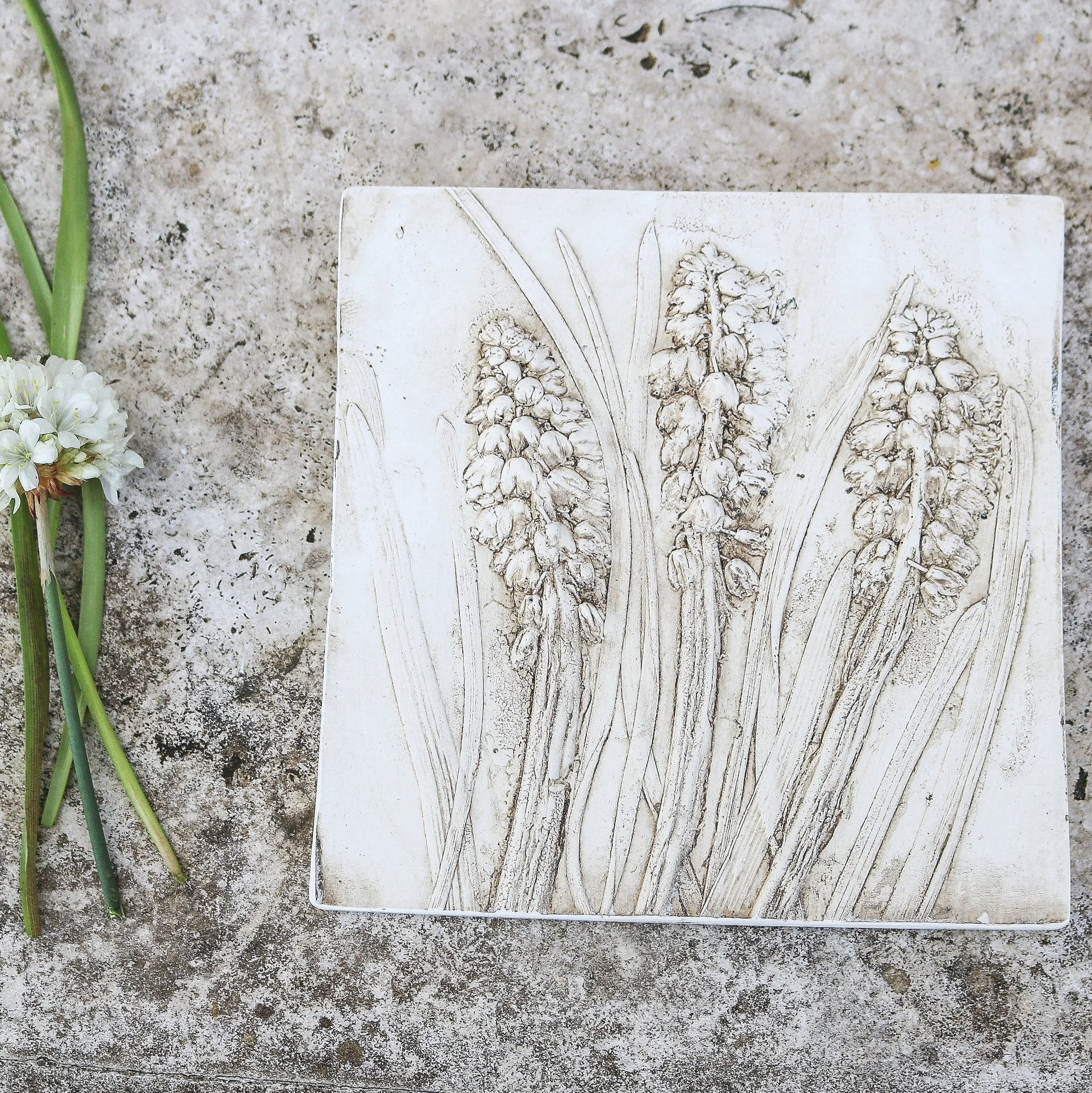 MUSCARI PRINT BOTANICAL TILE