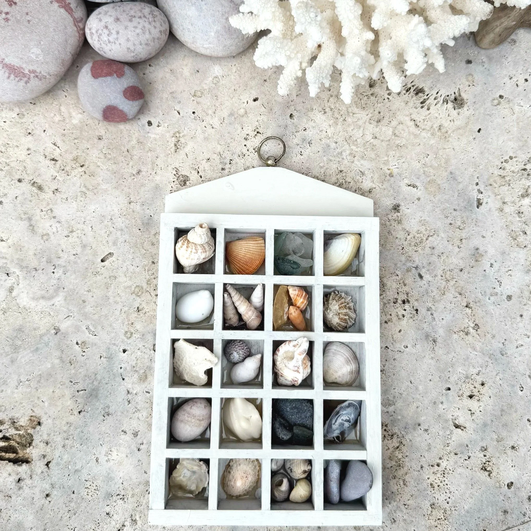 Beachcombers Treasures vintage printers tray Wall Hanging