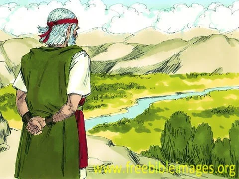 Daily Bible Reading - Deuteronomy