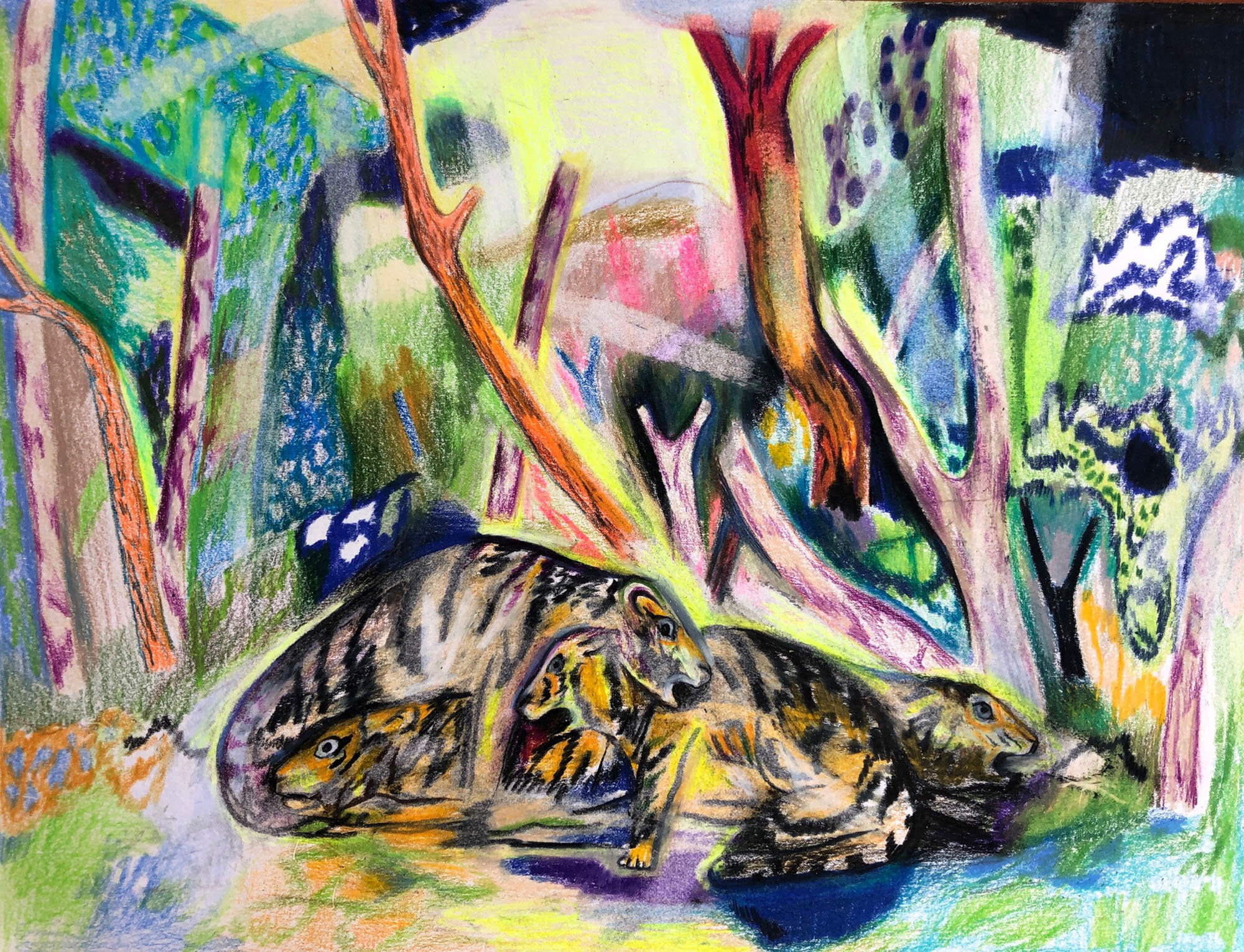  Jennifer Coates, Ghost Tigers, 2020, Color Pencil on Paper, 9" x 12"