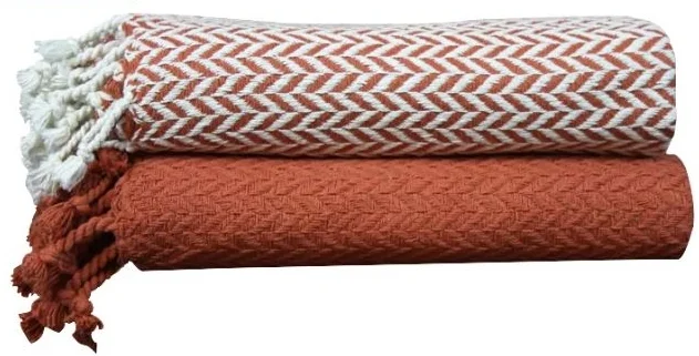 wayfair throw.JPG