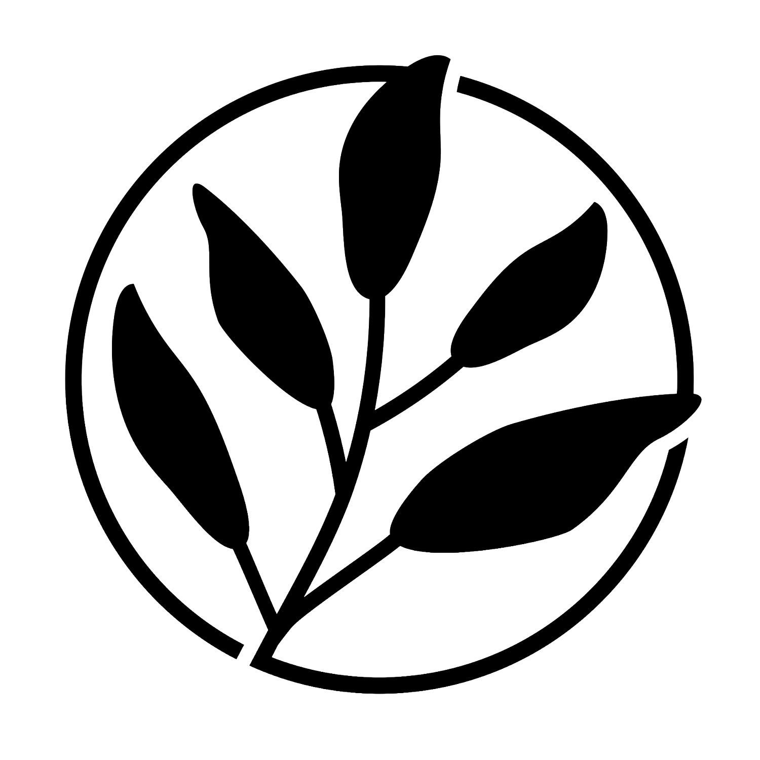 Rooted By Design