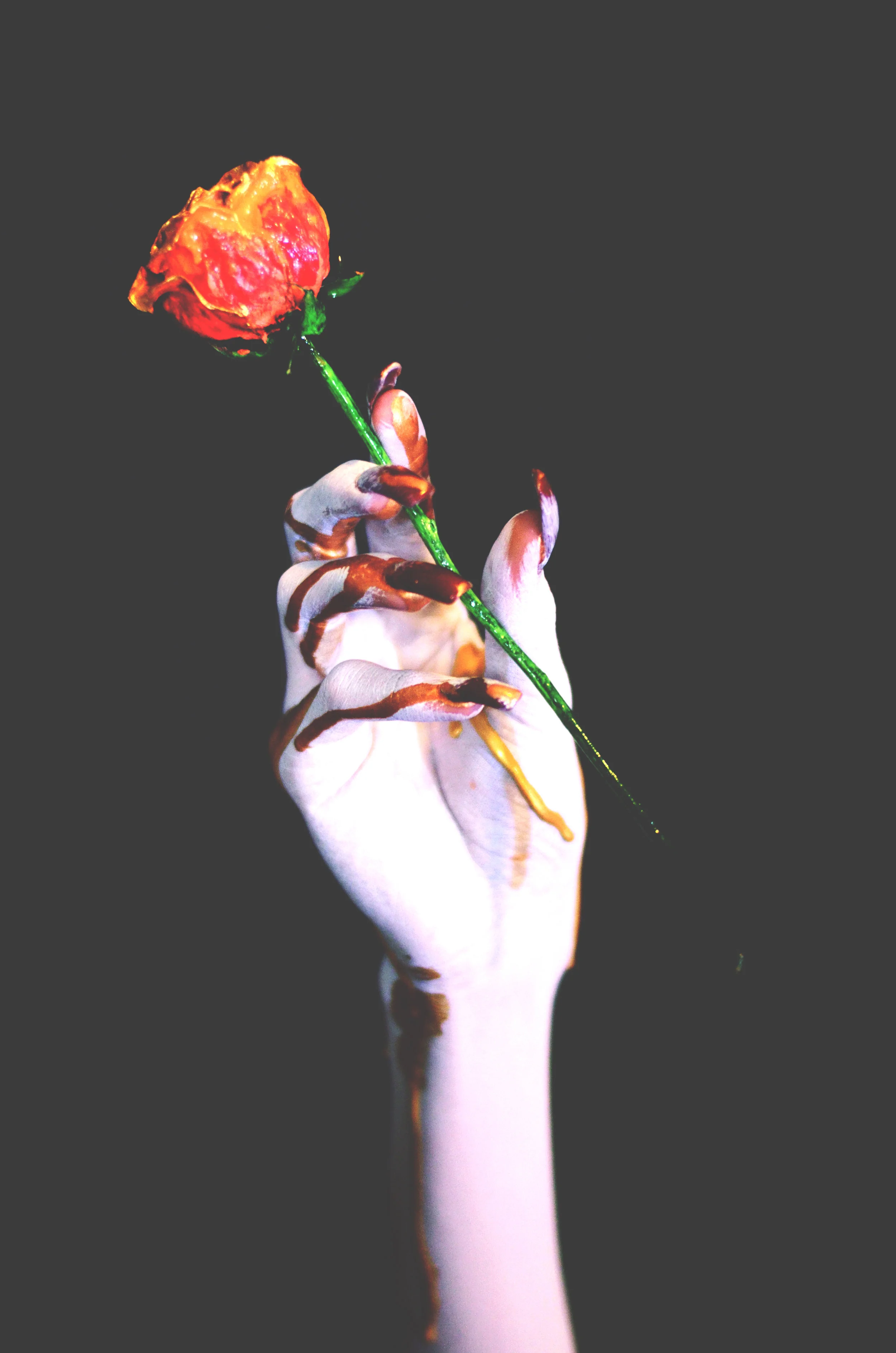 DSC_4423.jpg