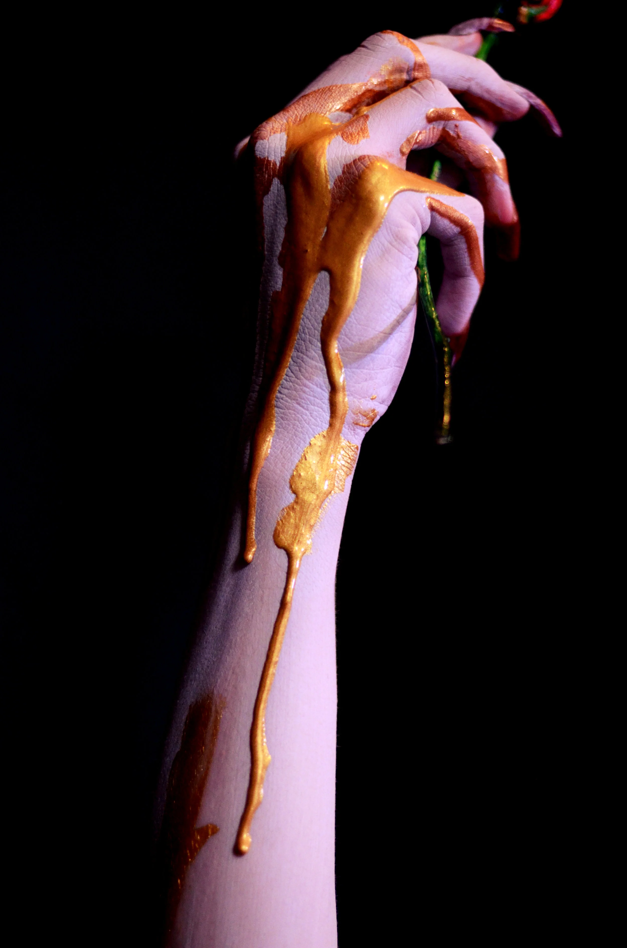 DSC_4491.jpg