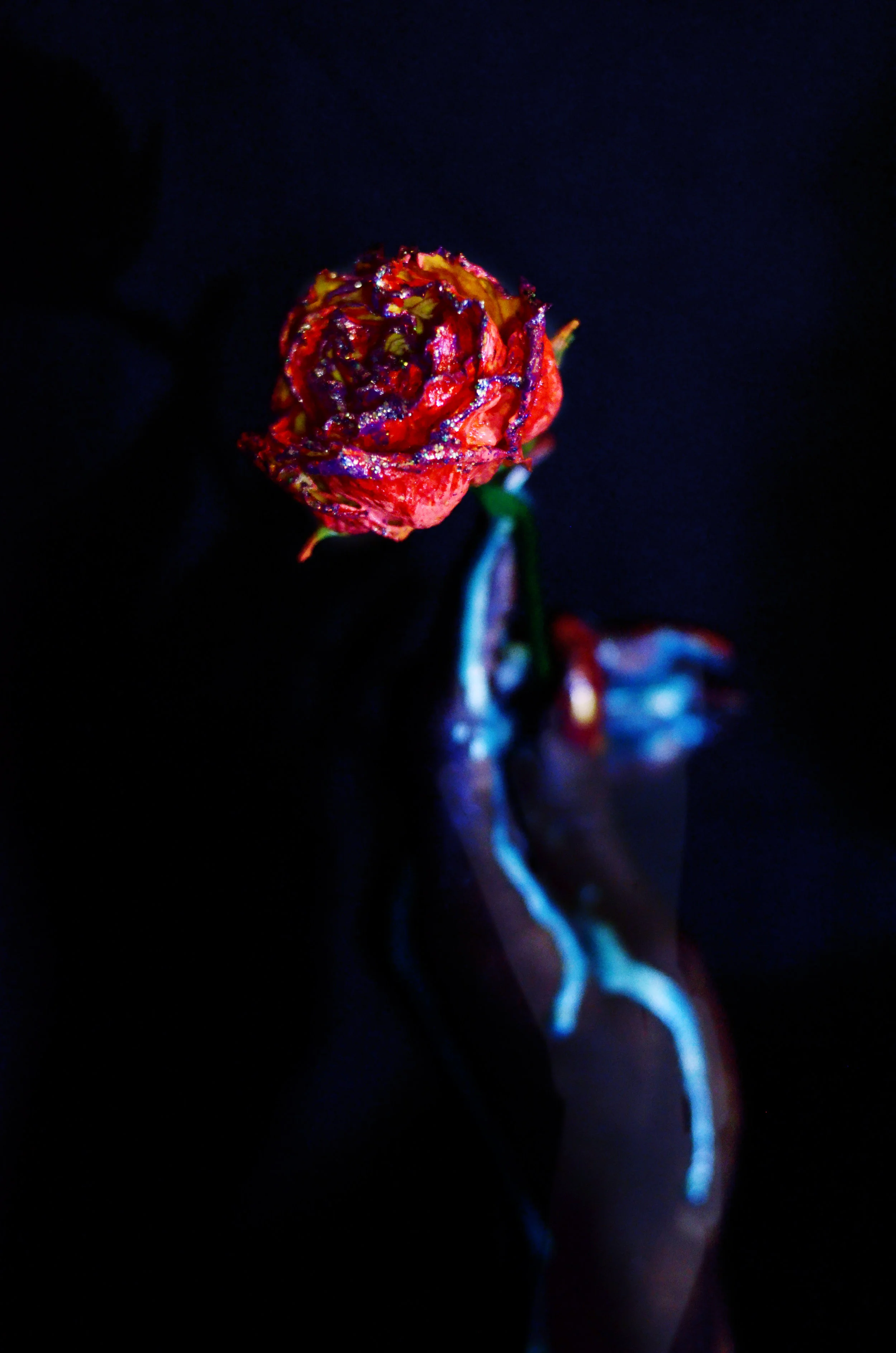 3D Sculptural Mixed Media: Dried roses, nail polish, and acrylic paint + glitter.