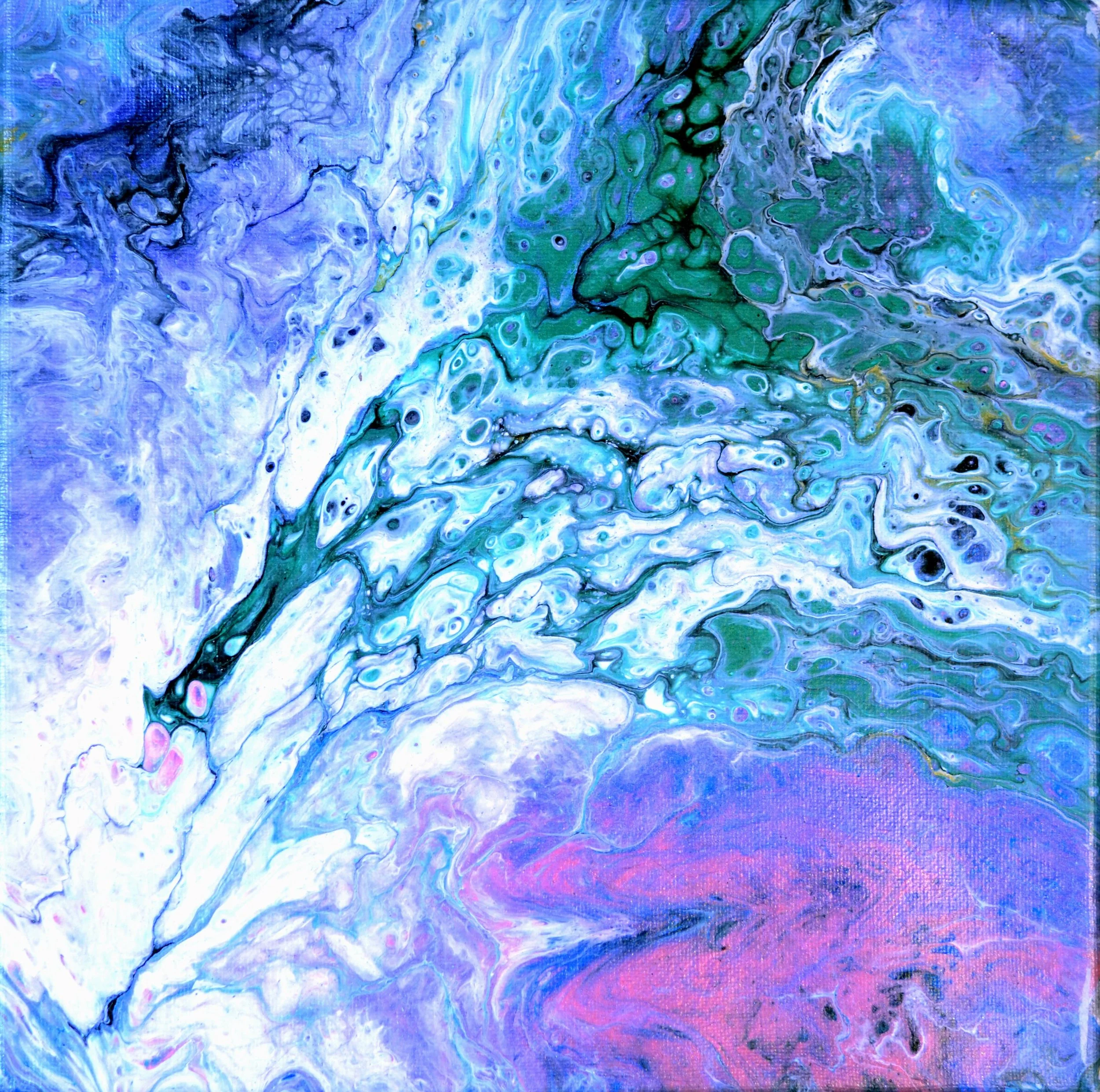 purple peacock sm .jpg