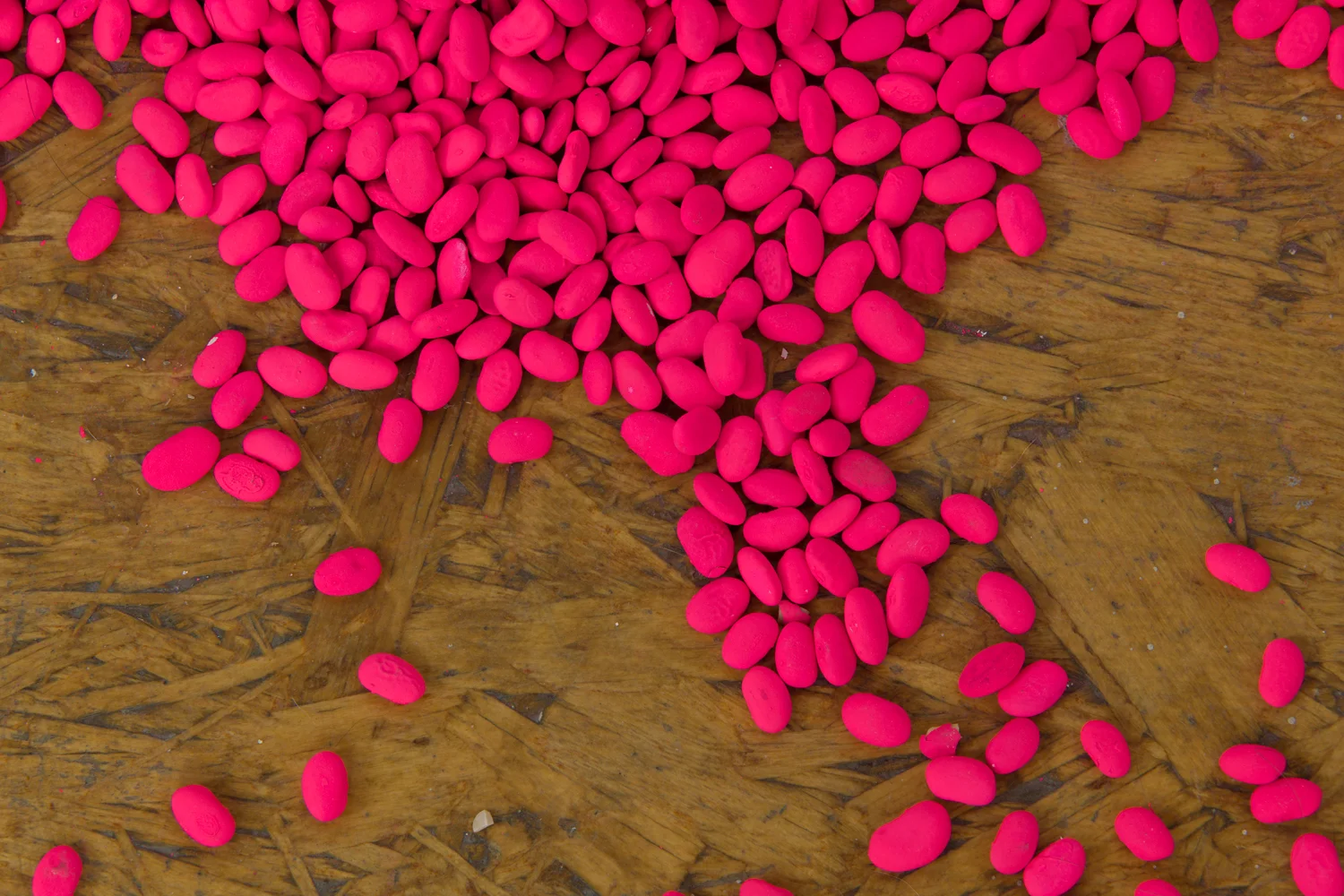 Alexis Disselkoen untitled (beans) , 2017 (detail view)