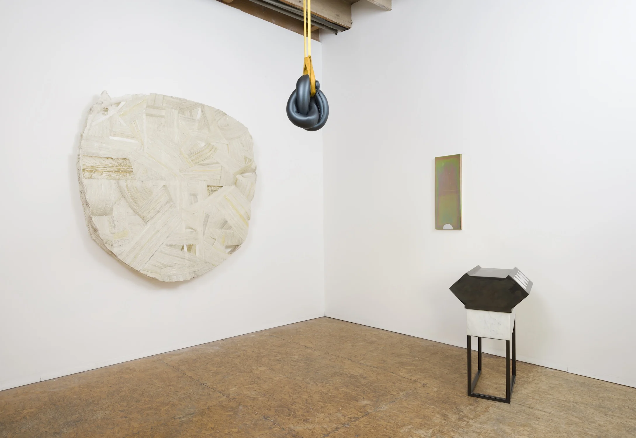 Slightly Undercooked Installation View BBQLA, Los Angeles, 2016