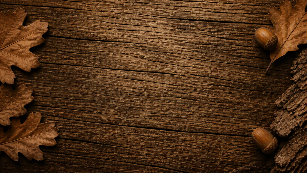 Store Banner.png
