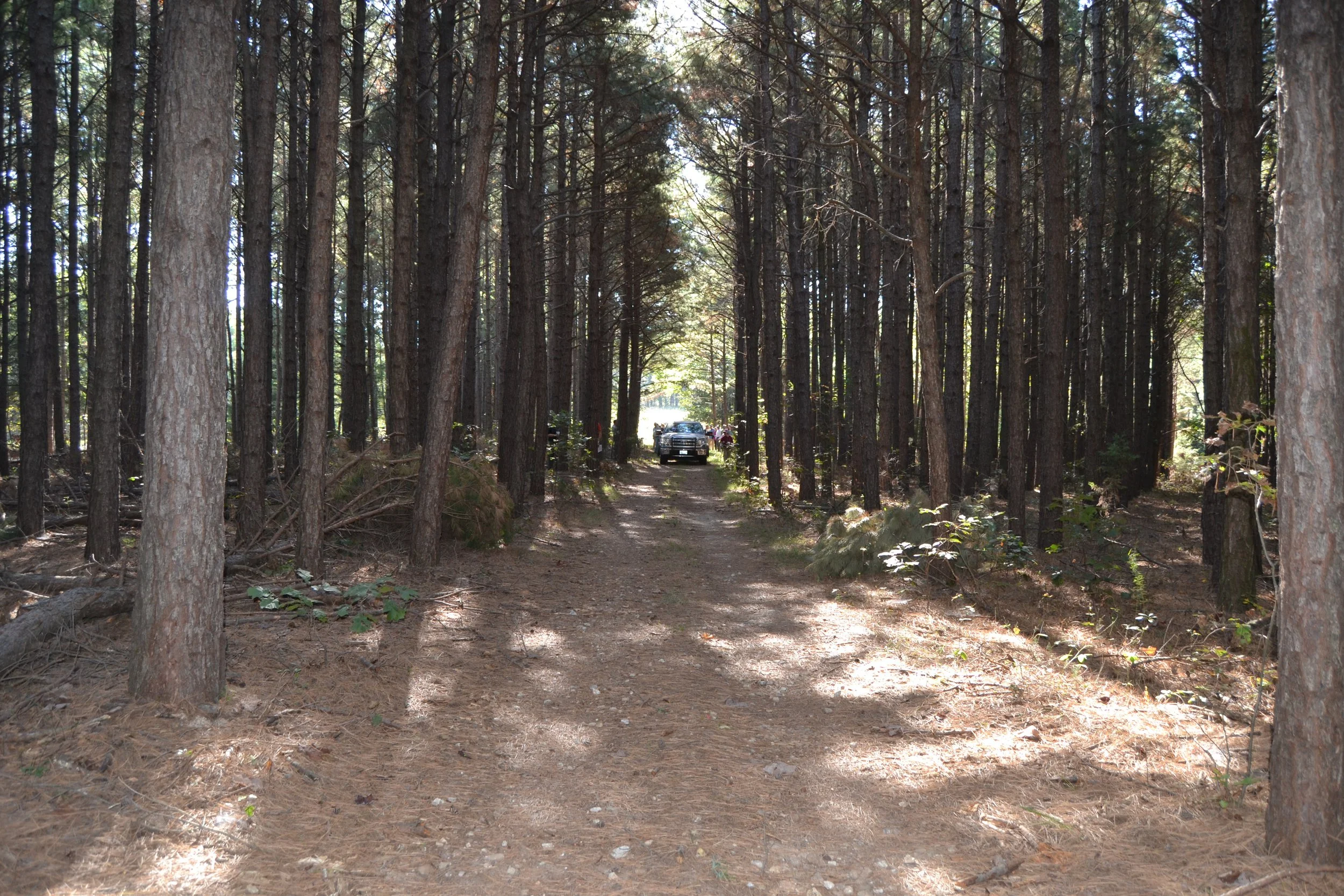 Woodland Owners Conference