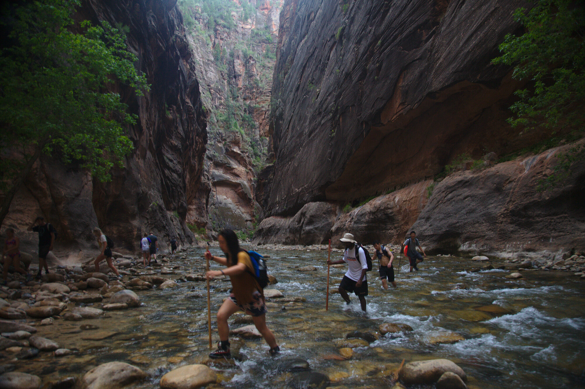  The Narrows in Zion National Park in Springdale, Utah 